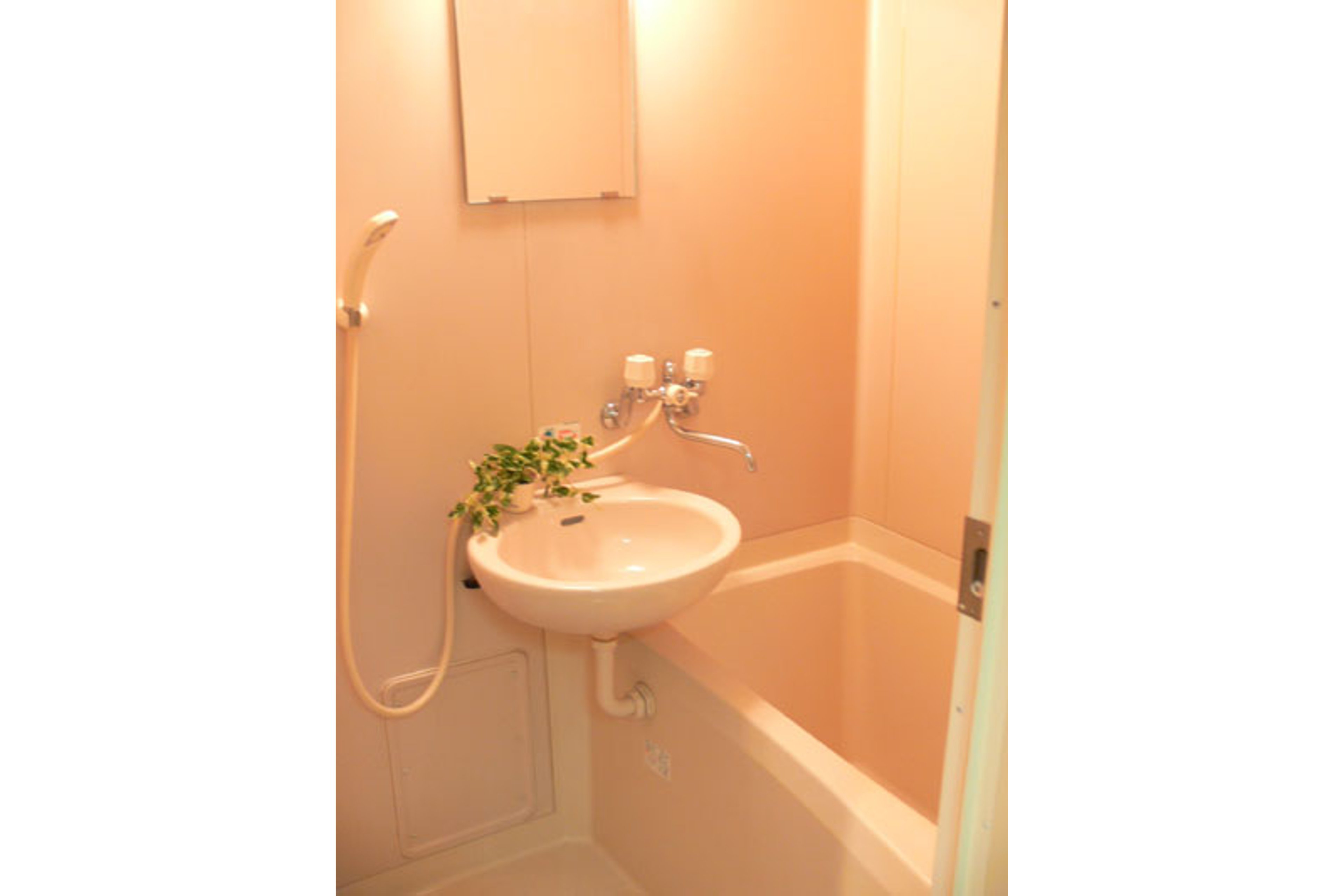 バリュータイプのイメージ