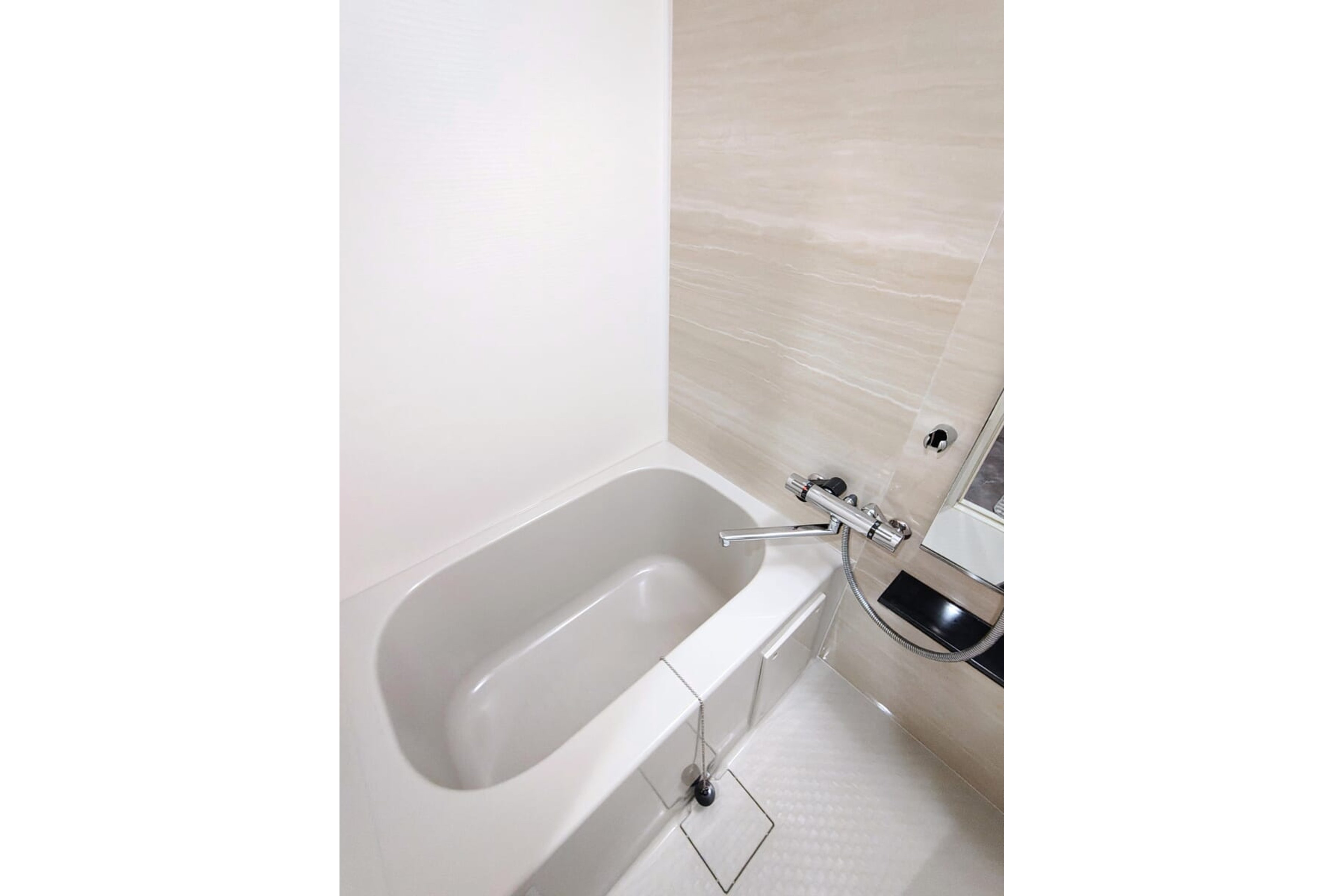 プラチナタイプのイメージ