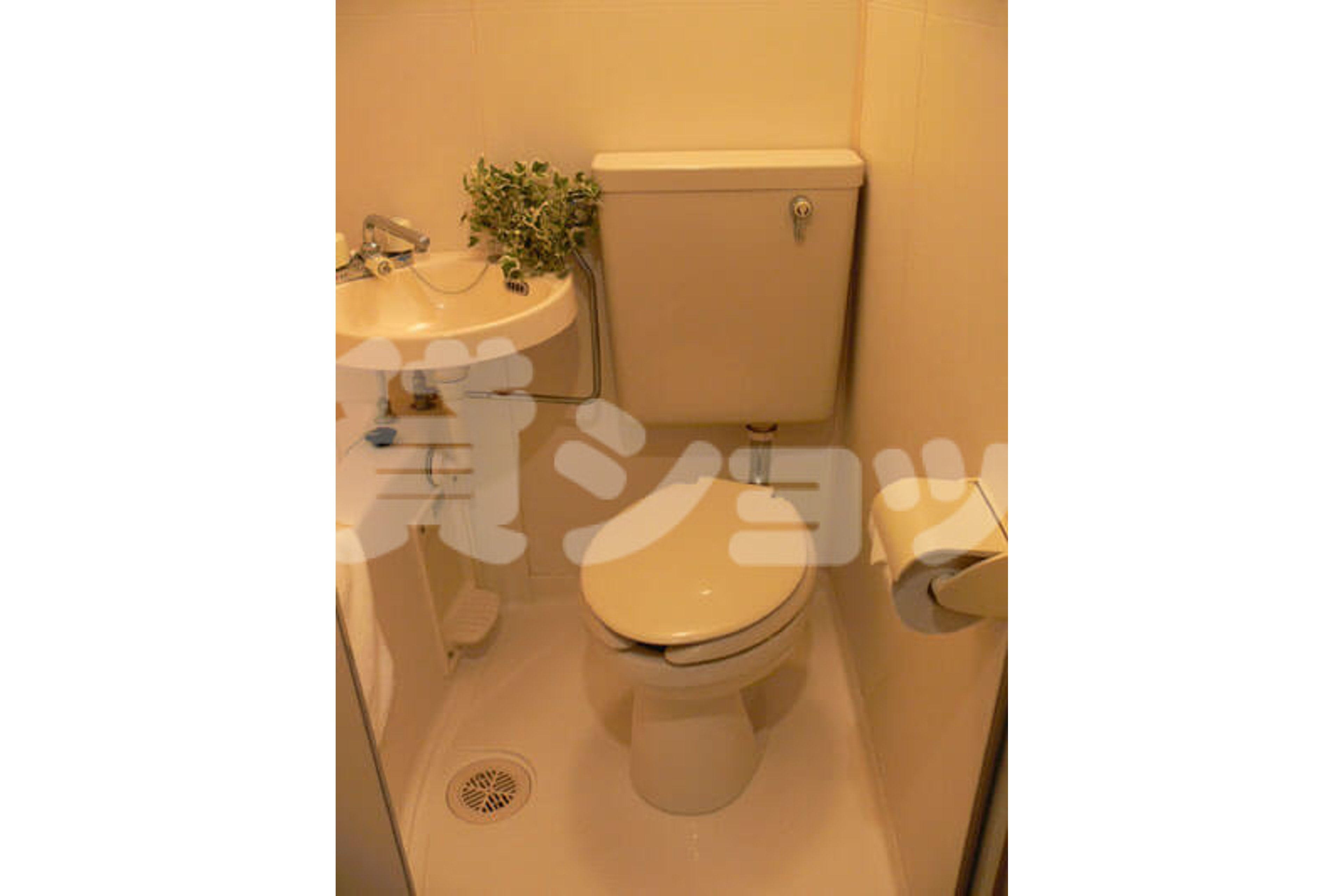 バリュータイプのイメージ