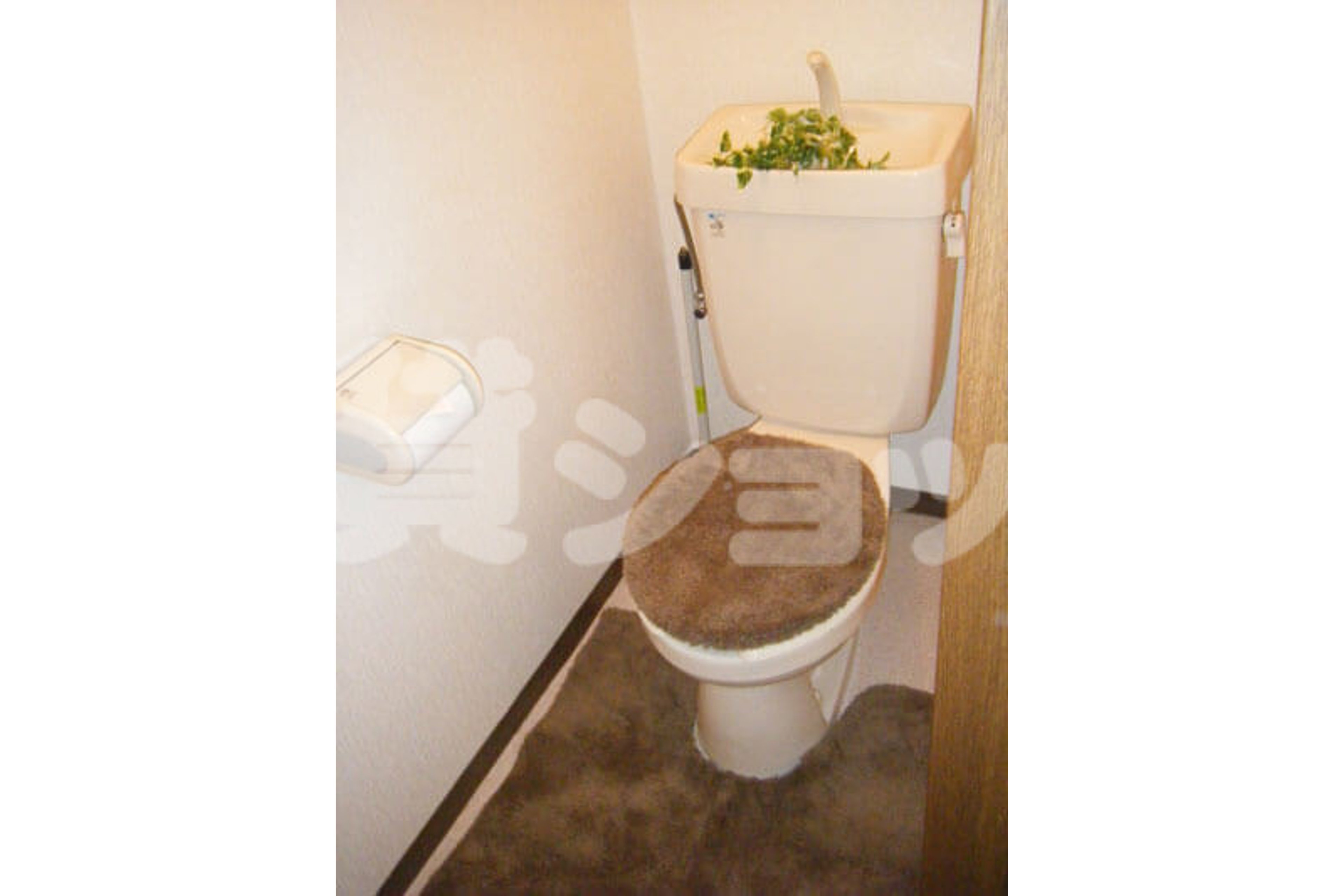 スタンダードタイプのイメージ