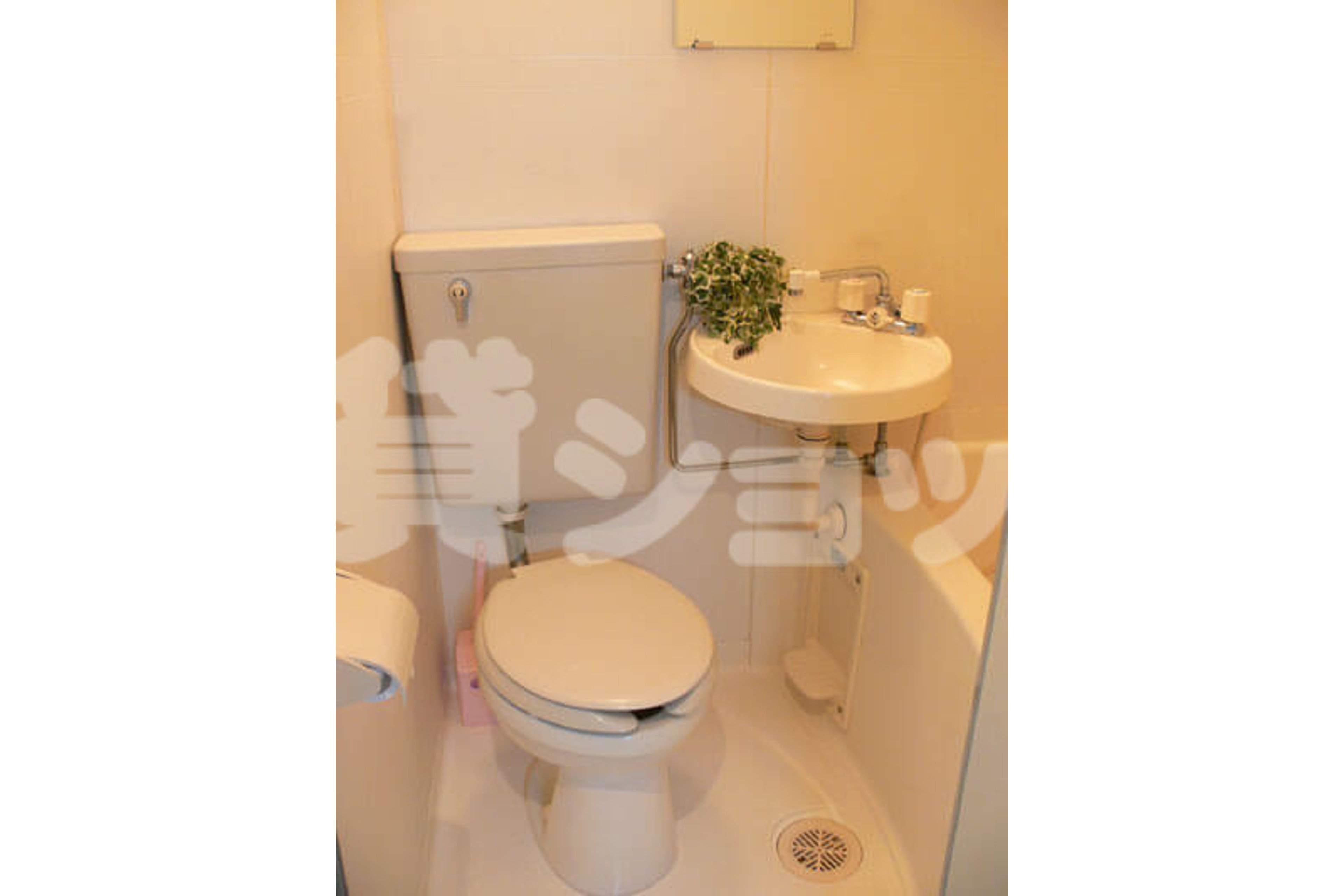 バリュータイプのイメージ