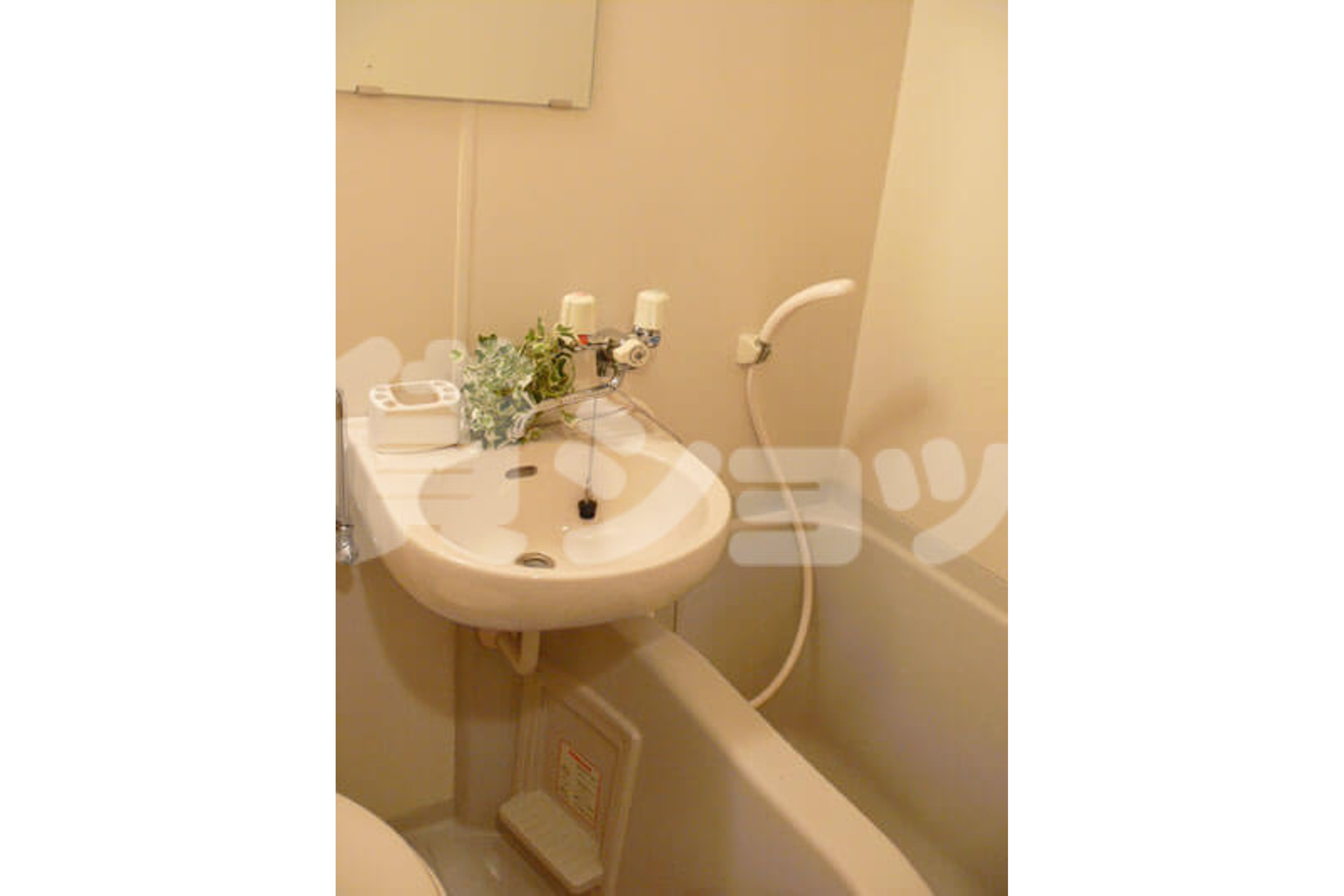 バリュータイプのイメージ