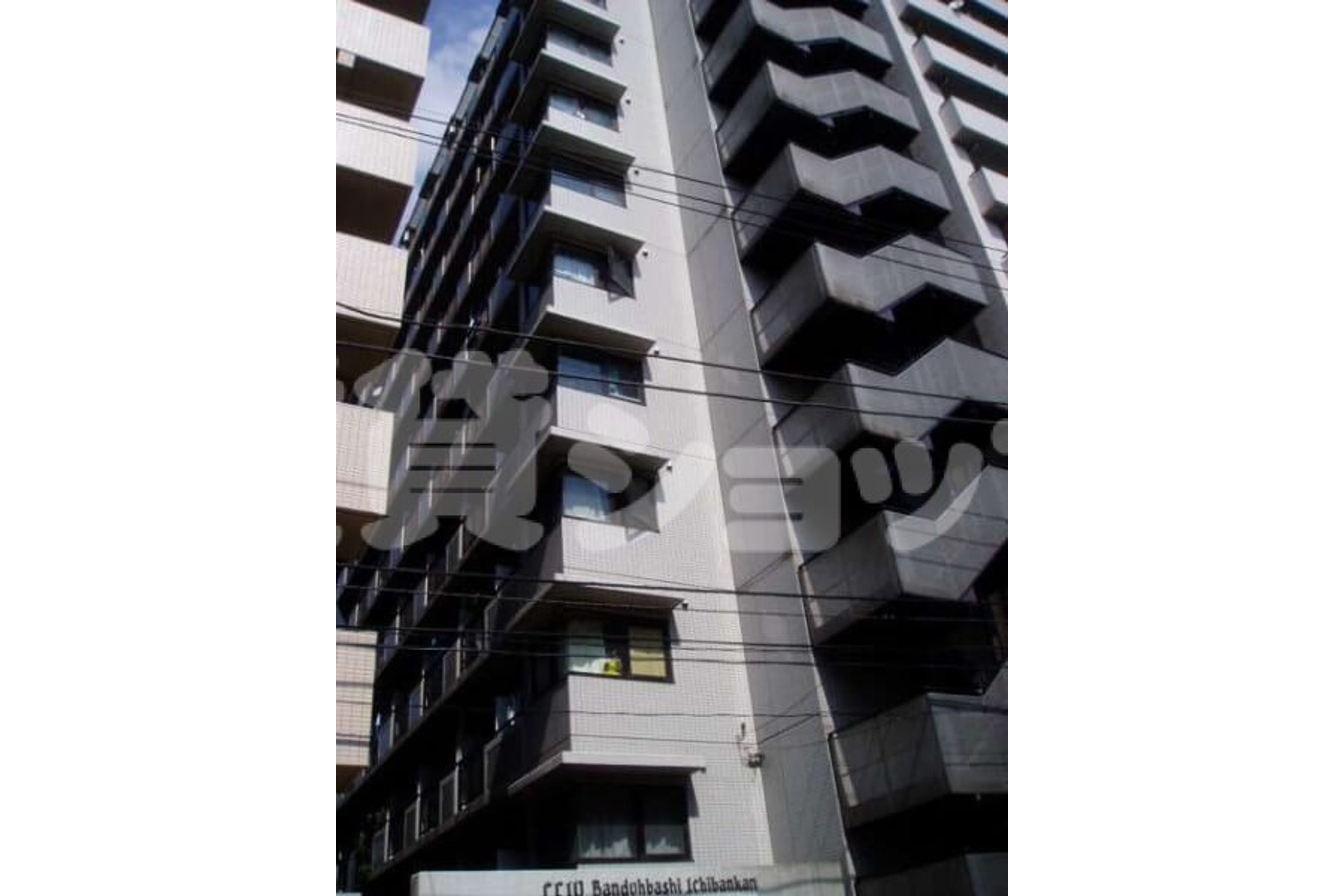 スタンダードタイプのイメージ