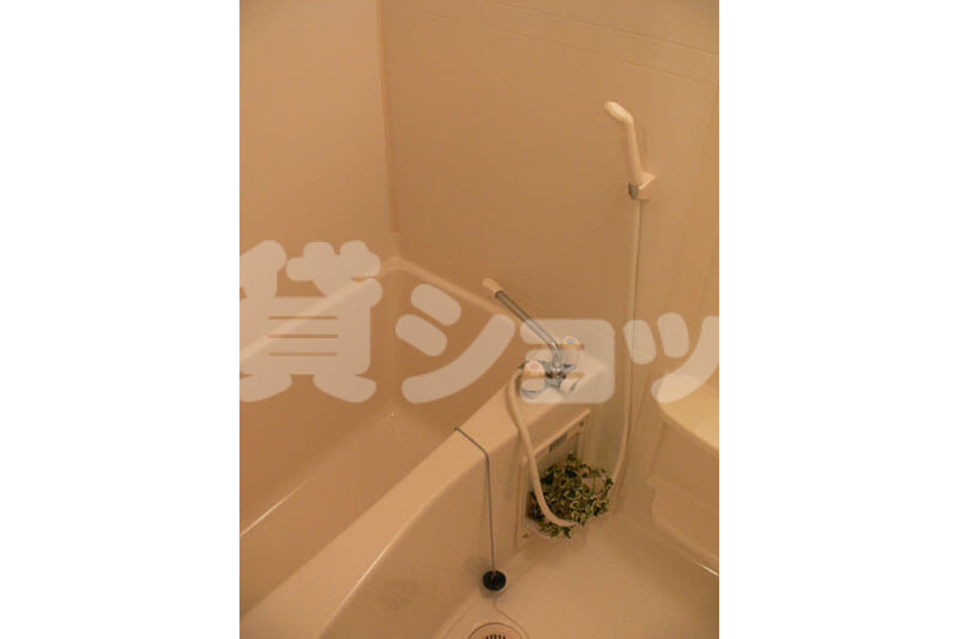 スタンダードタイプのイメージ