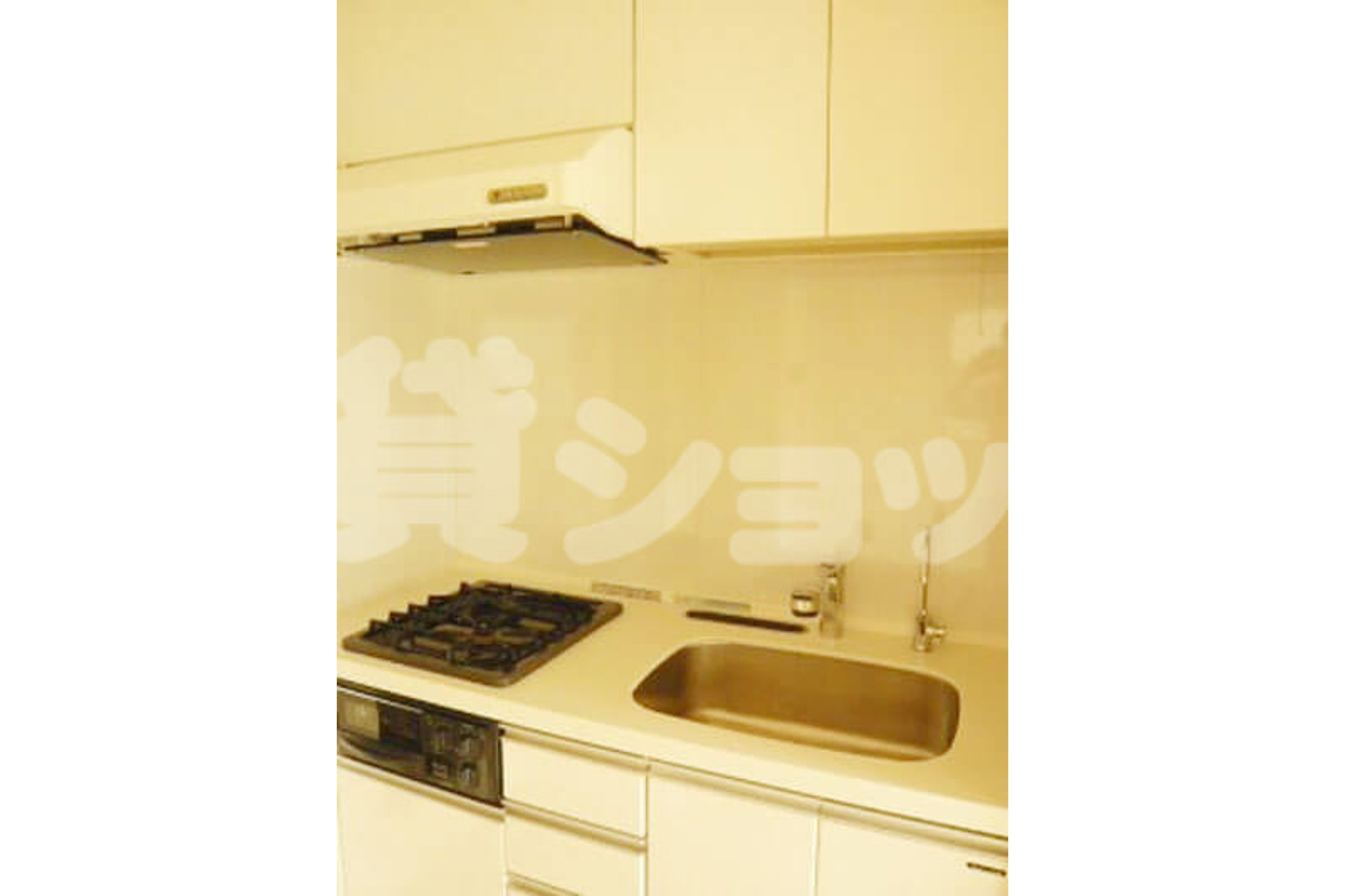 プラチナタイプのイメージ