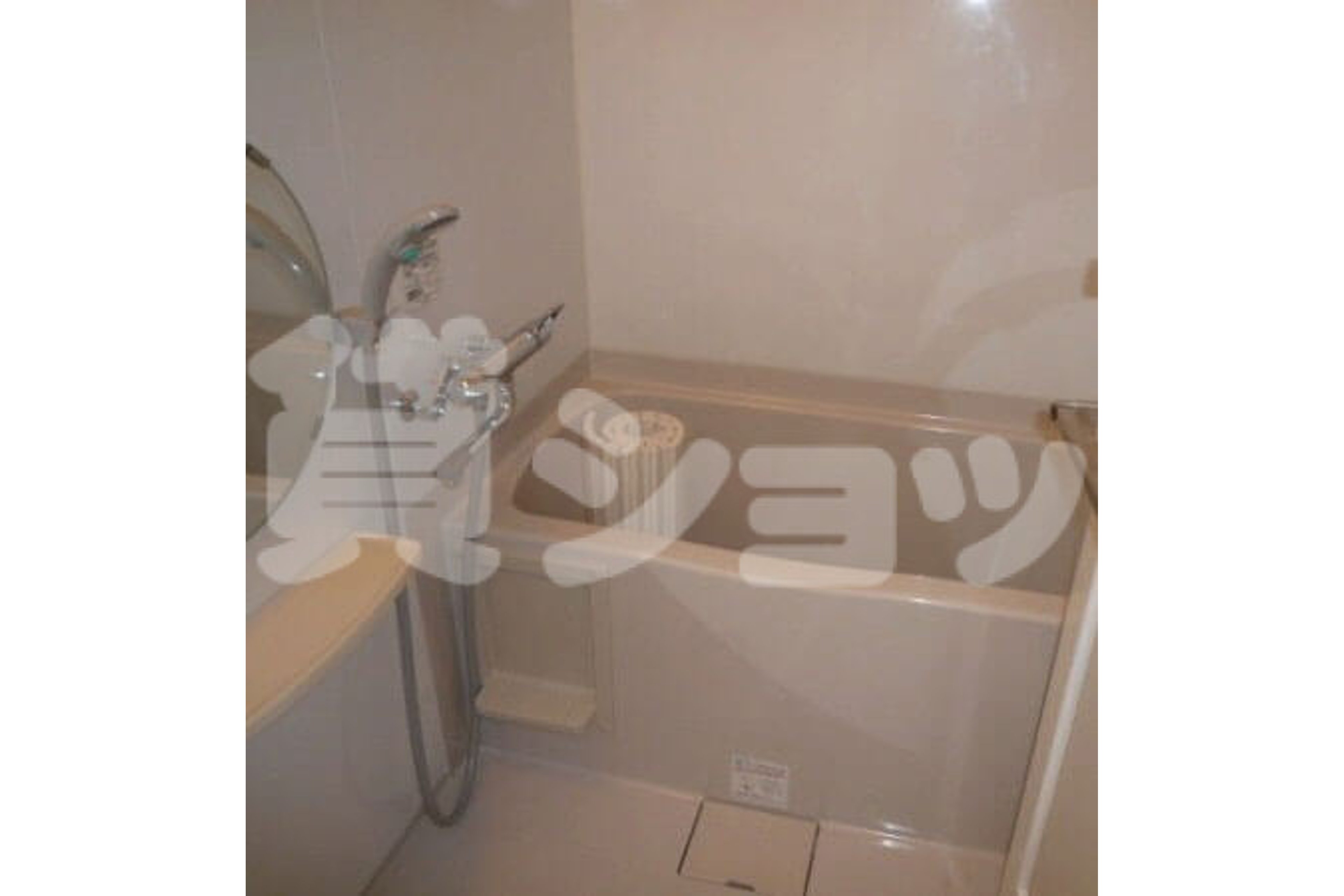 プラチナタイプのイメージ