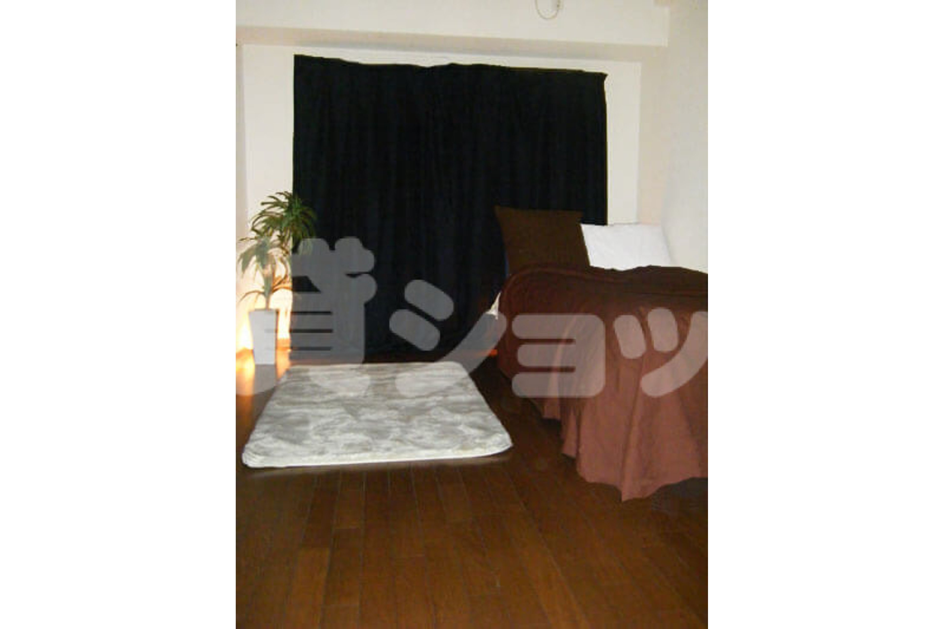 プラチナタイプのイメージ