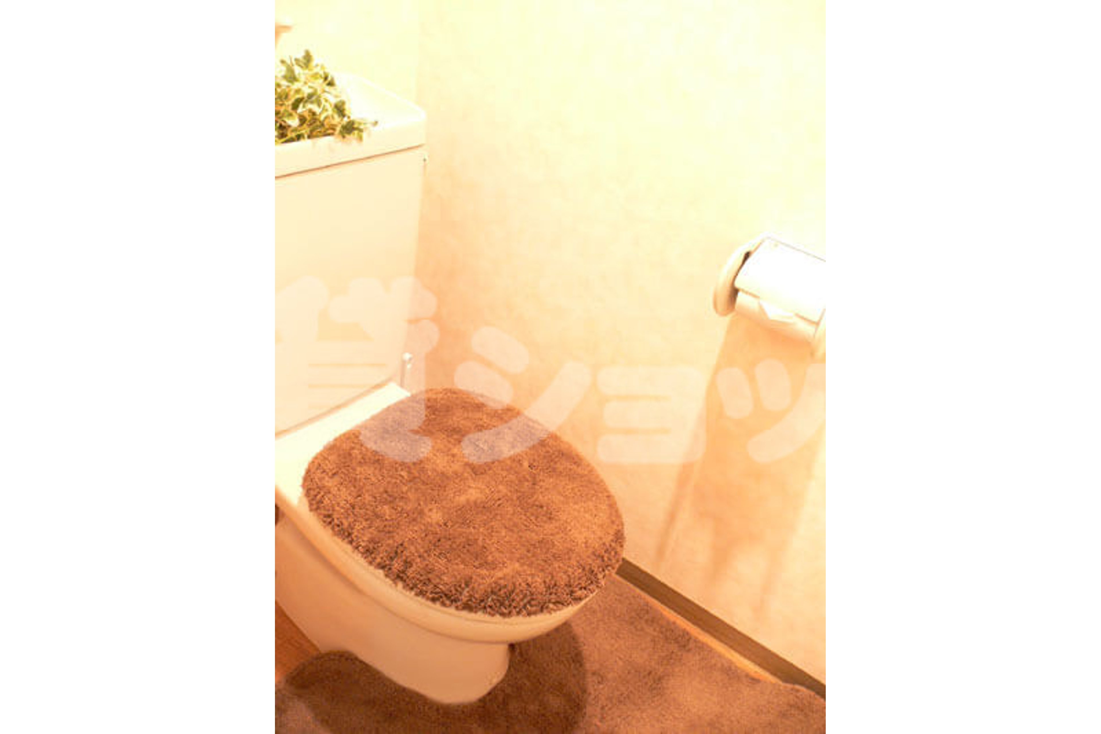 スタンダードタイプのイメージ