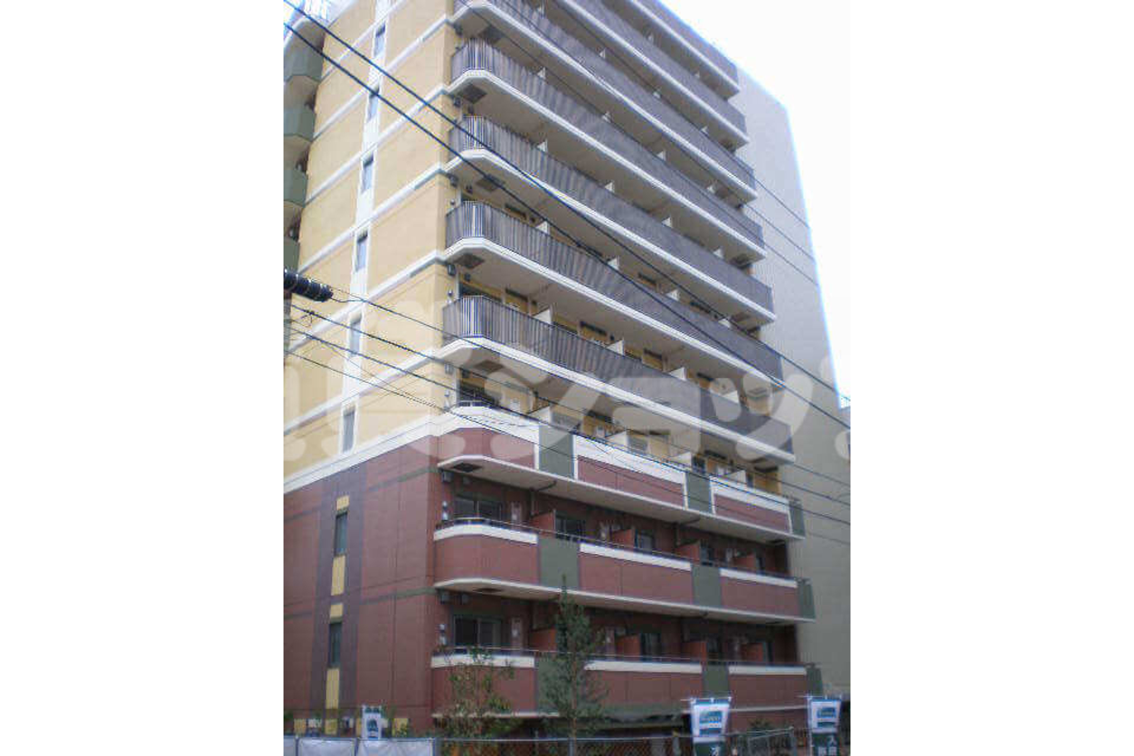 プラチナタイプのイメージ