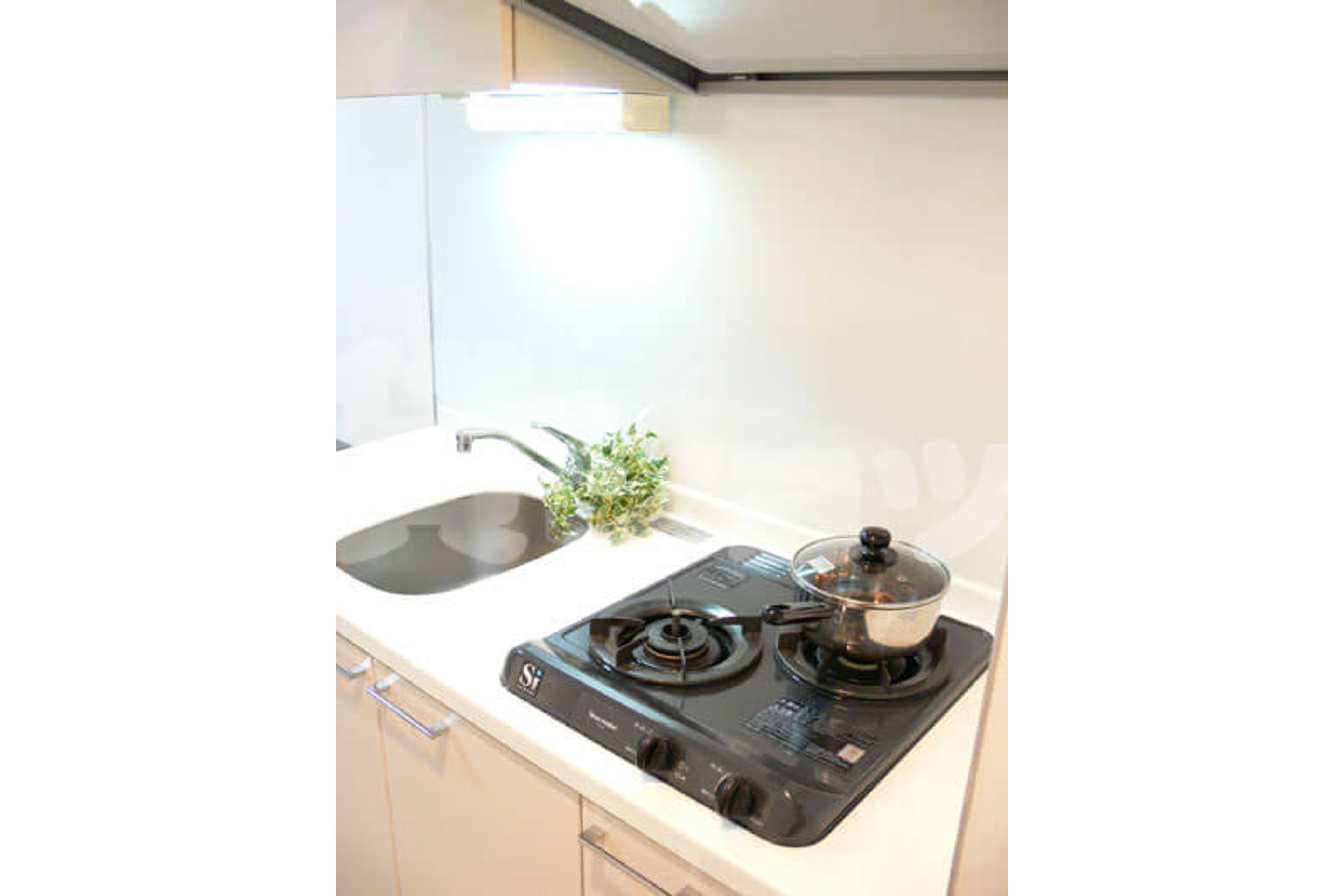 プラチナタイプのイメージ