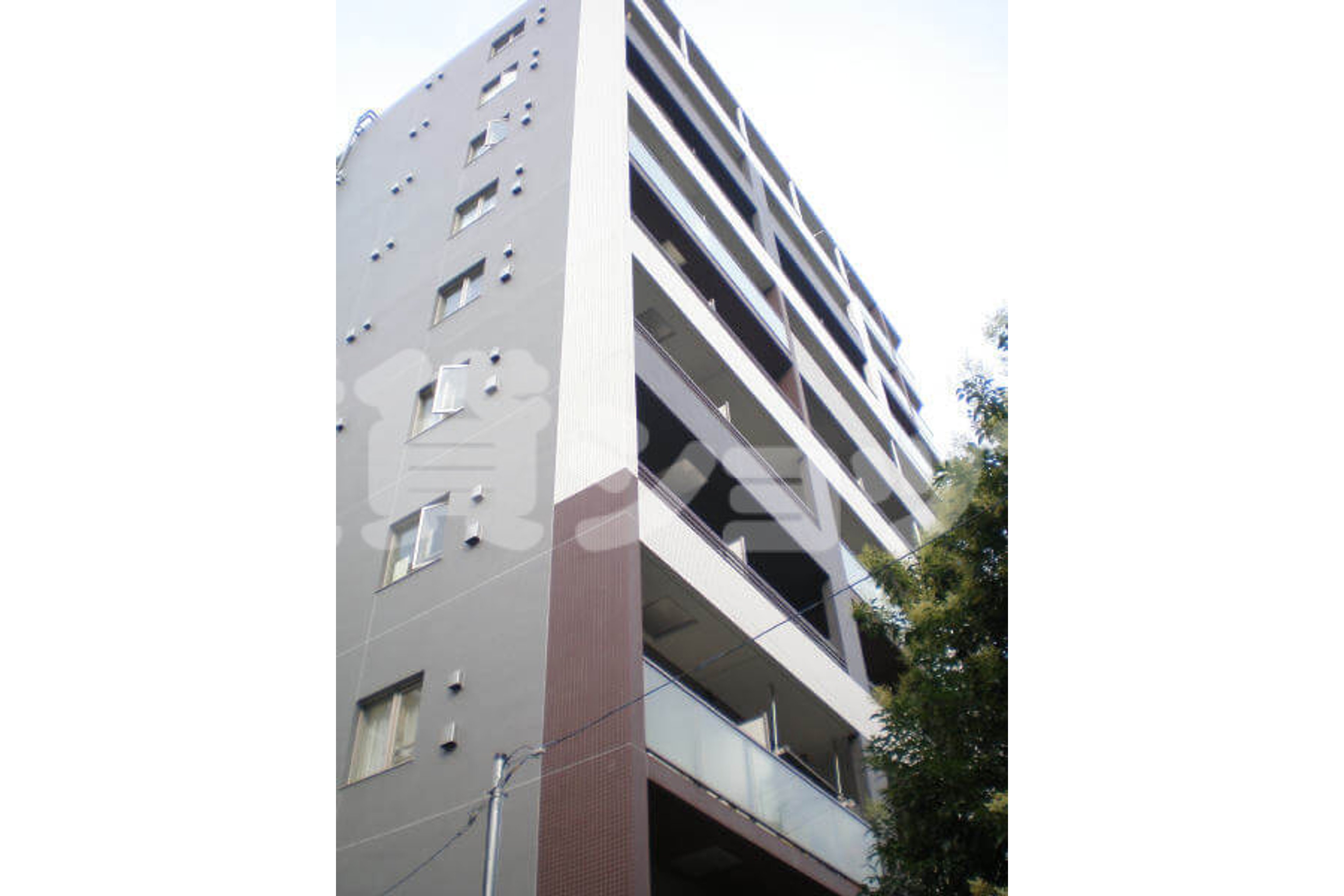 プラチナタイプのイメージ