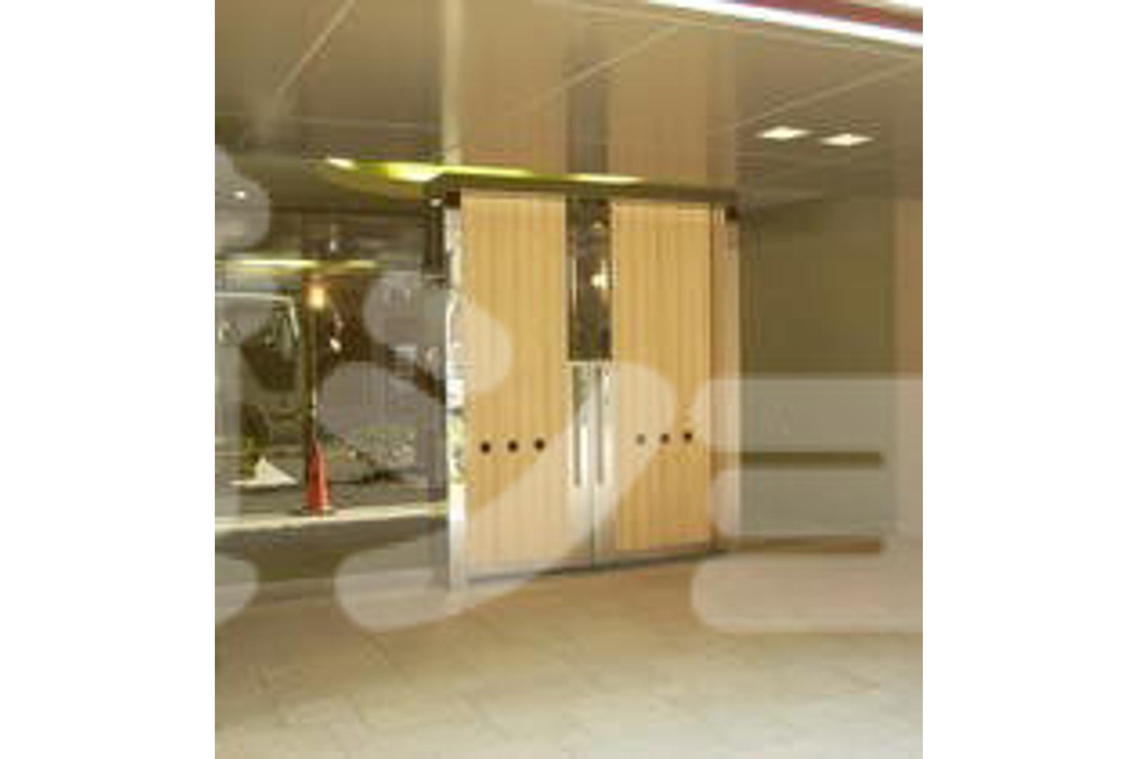 プラチナタイプのイメージ