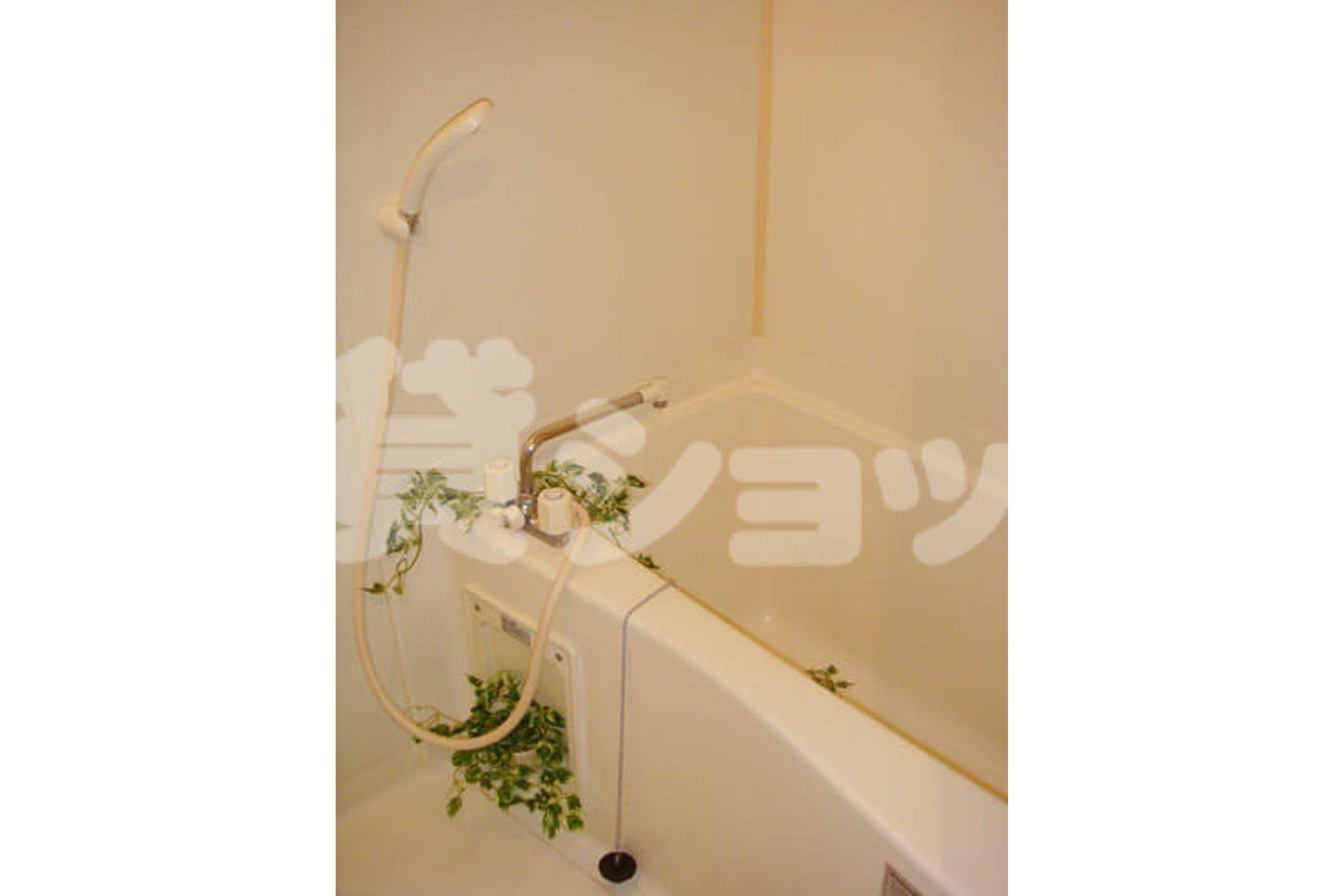 プラチナタイプのイメージ