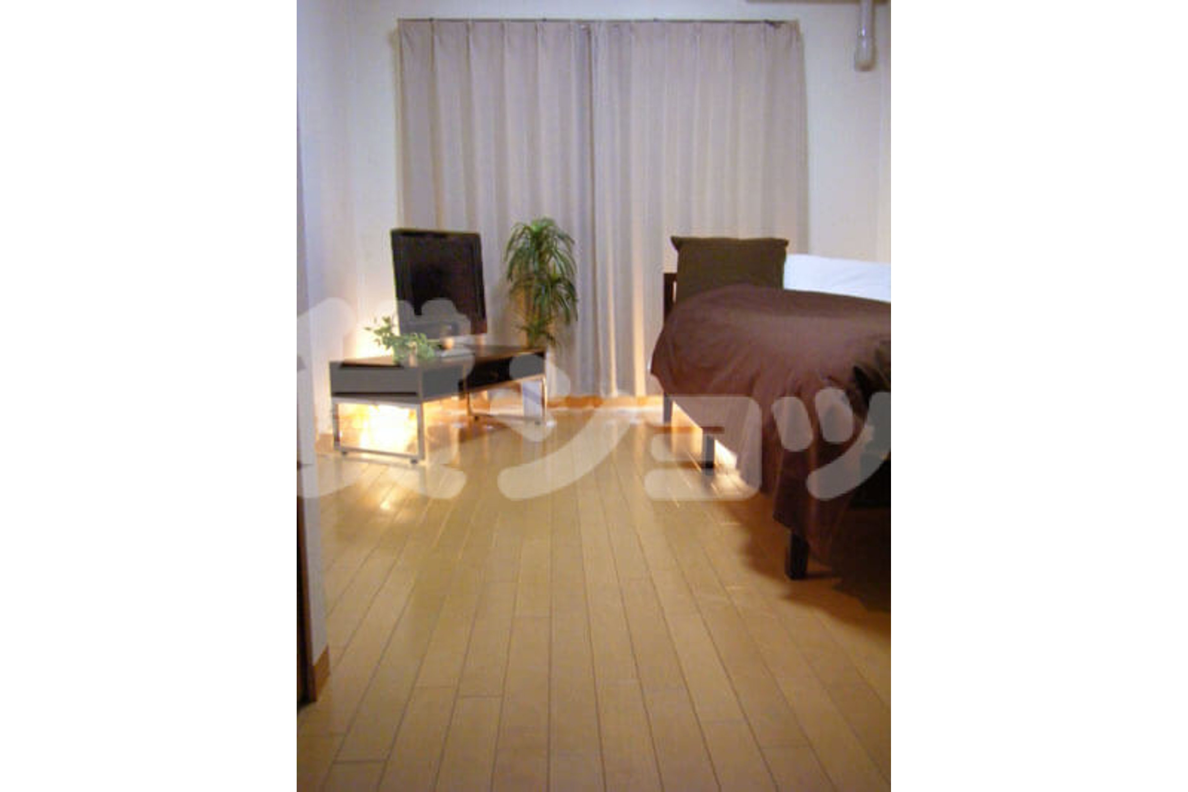 プラチナタイプのイメージ