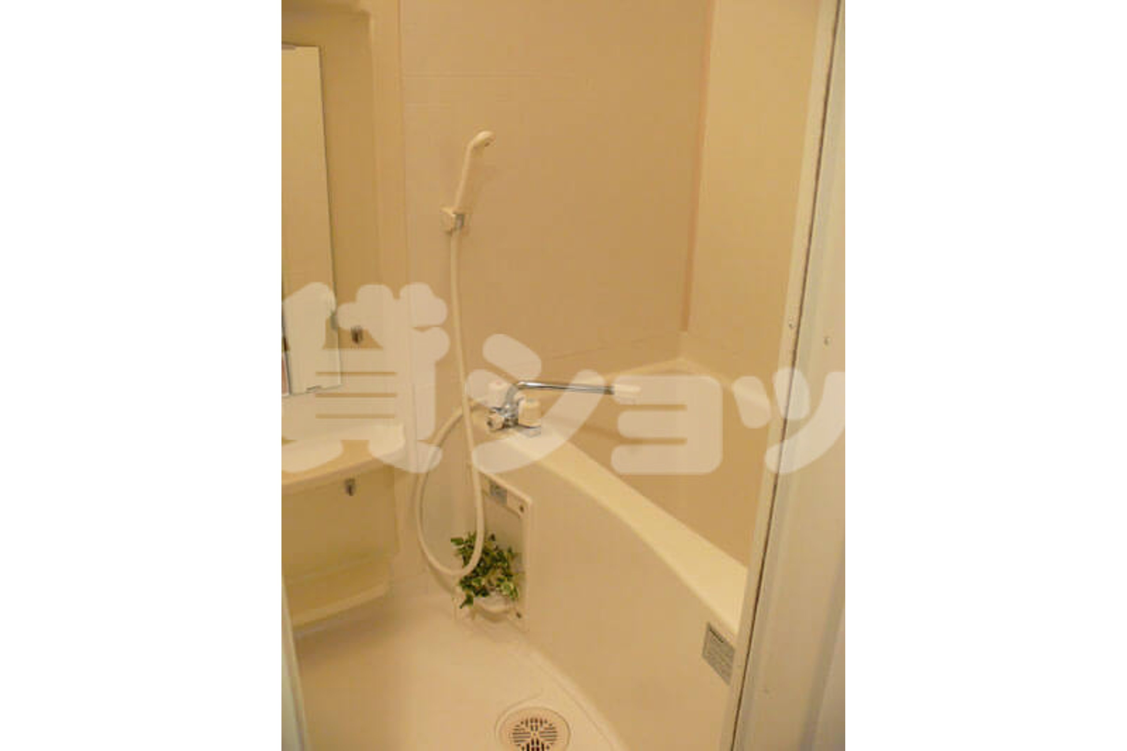 スタンダードタイプのイメージ