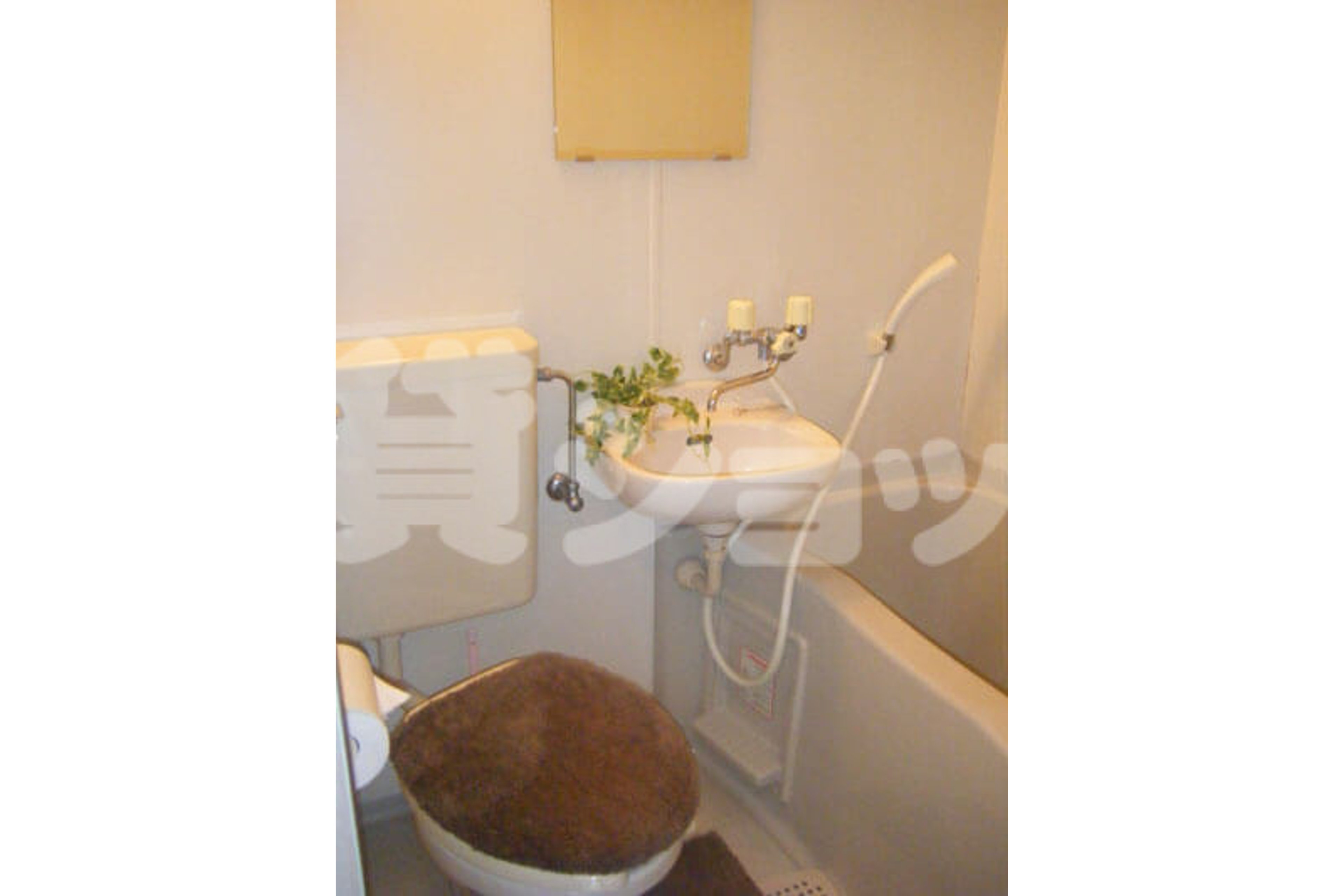 バリュータイプのイメージ