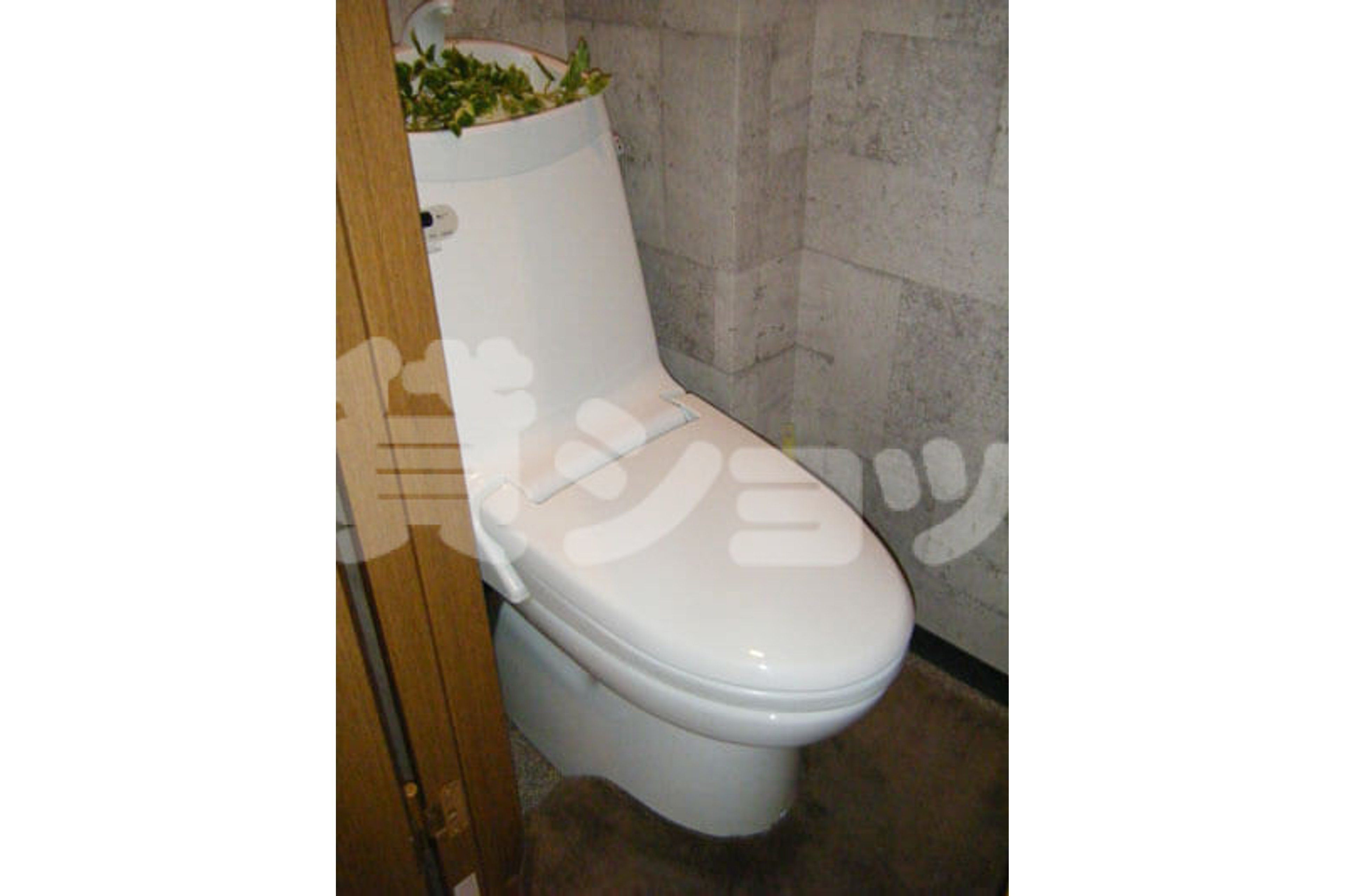 スタンダードタイプのイメージ