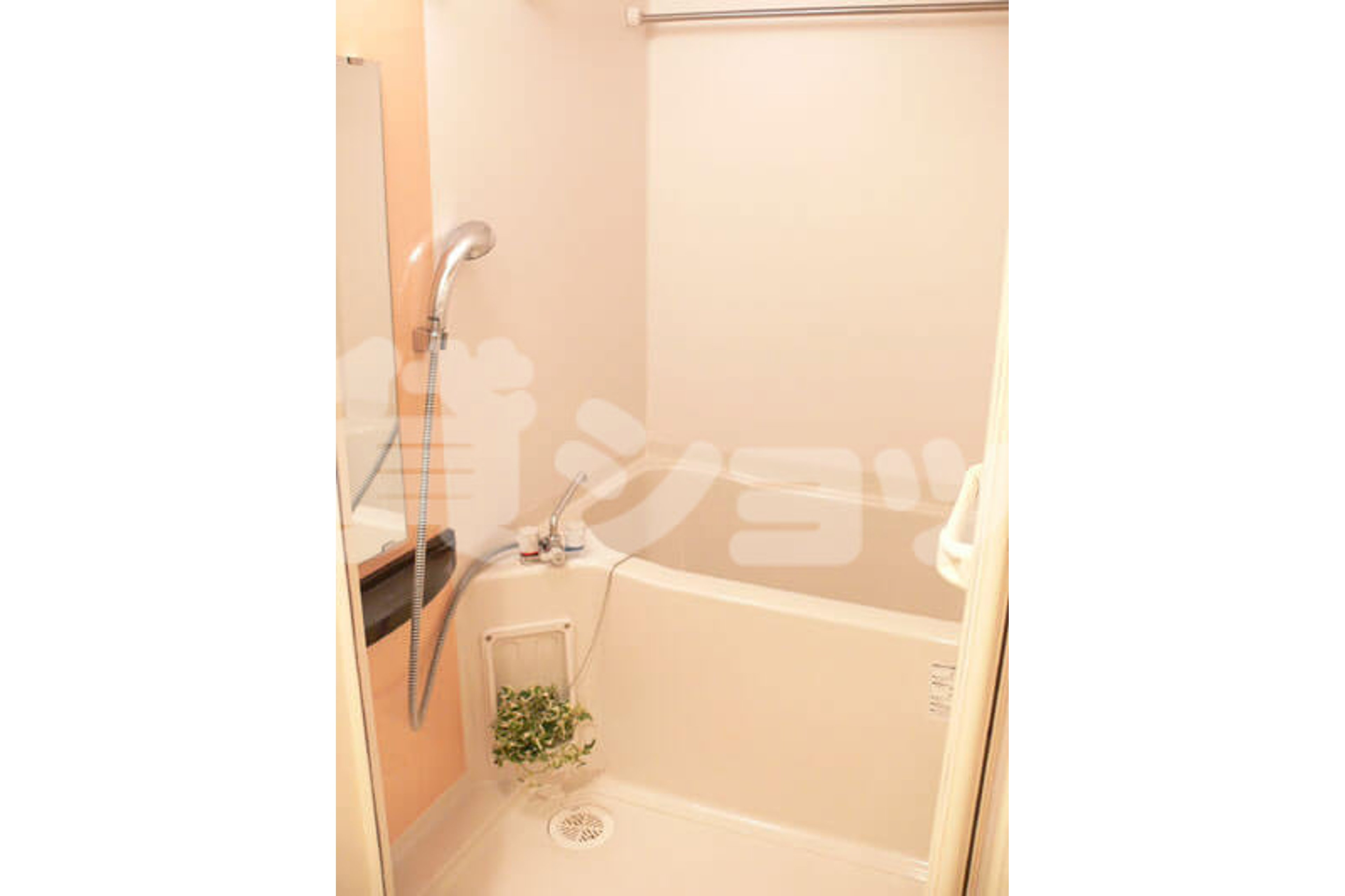 スタンダードタイプのイメージ