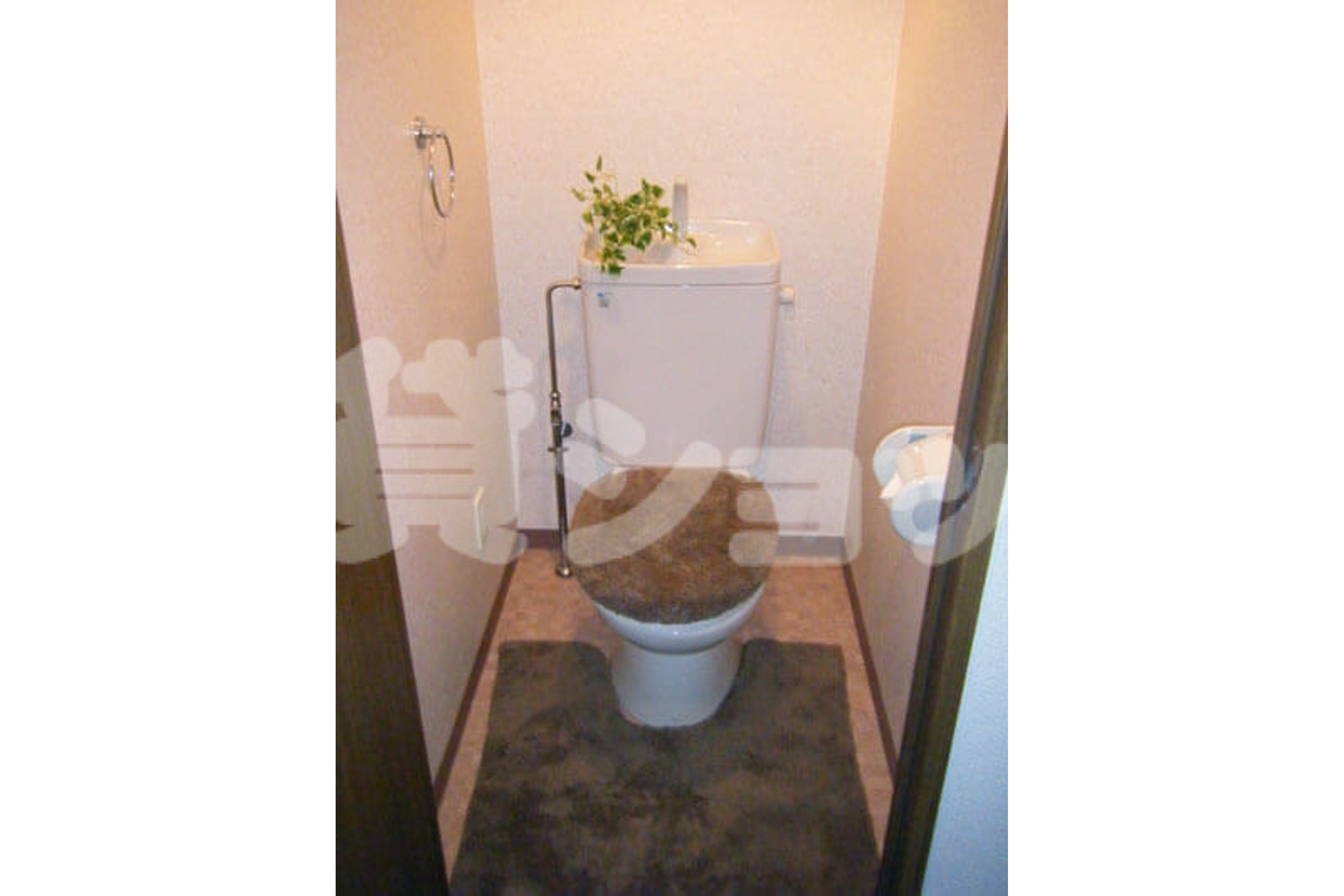 スタンダードタイプのイメージ