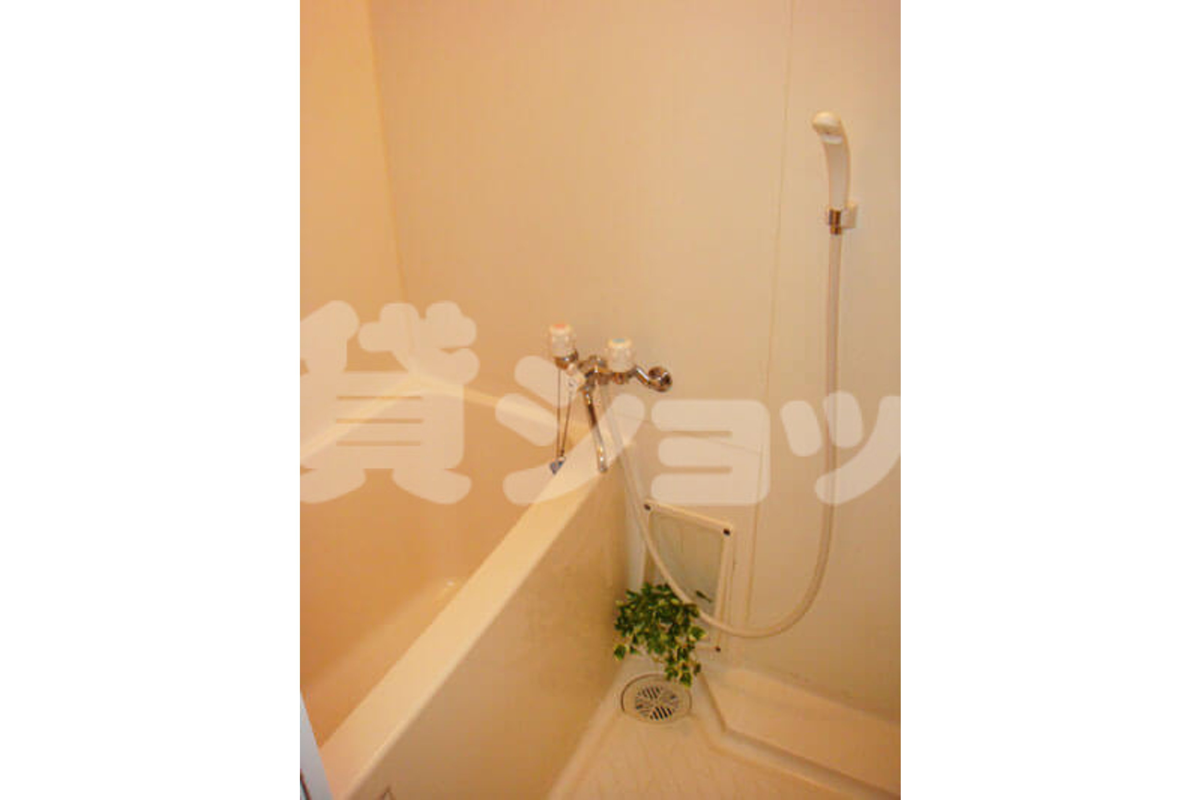 スタンダードタイプのイメージ