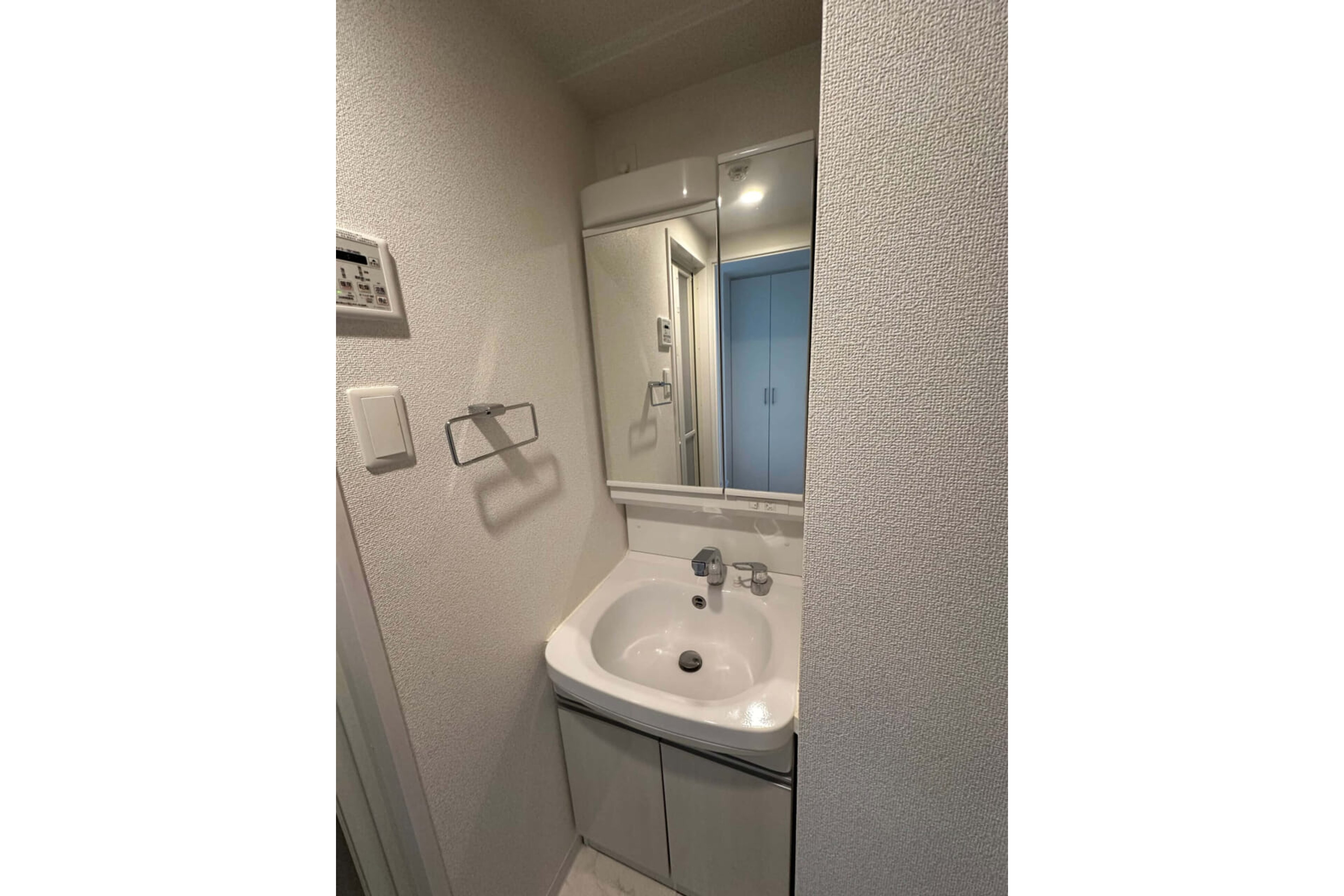 プラチナタイプのイメージ