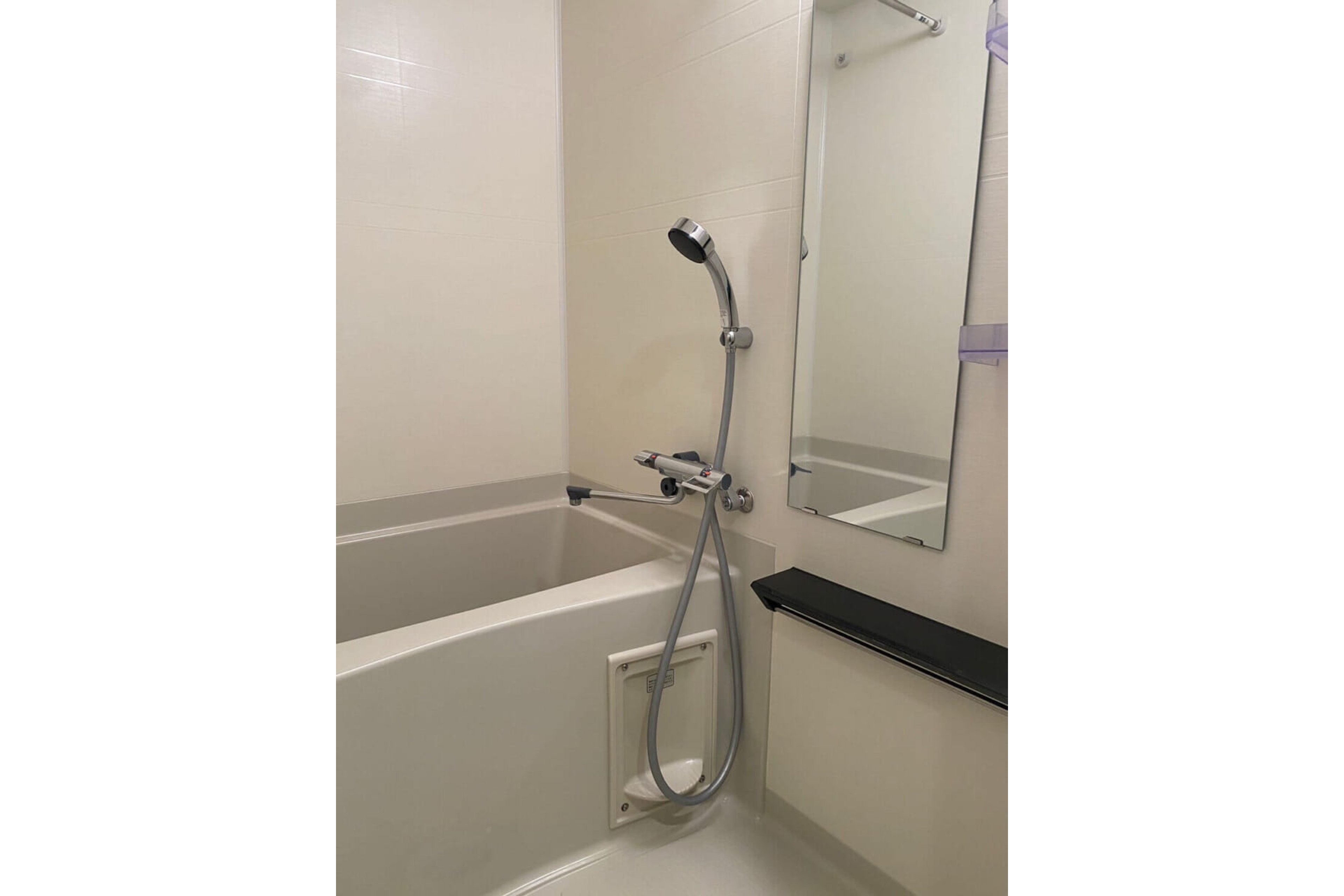 プラチナタイプのイメージ