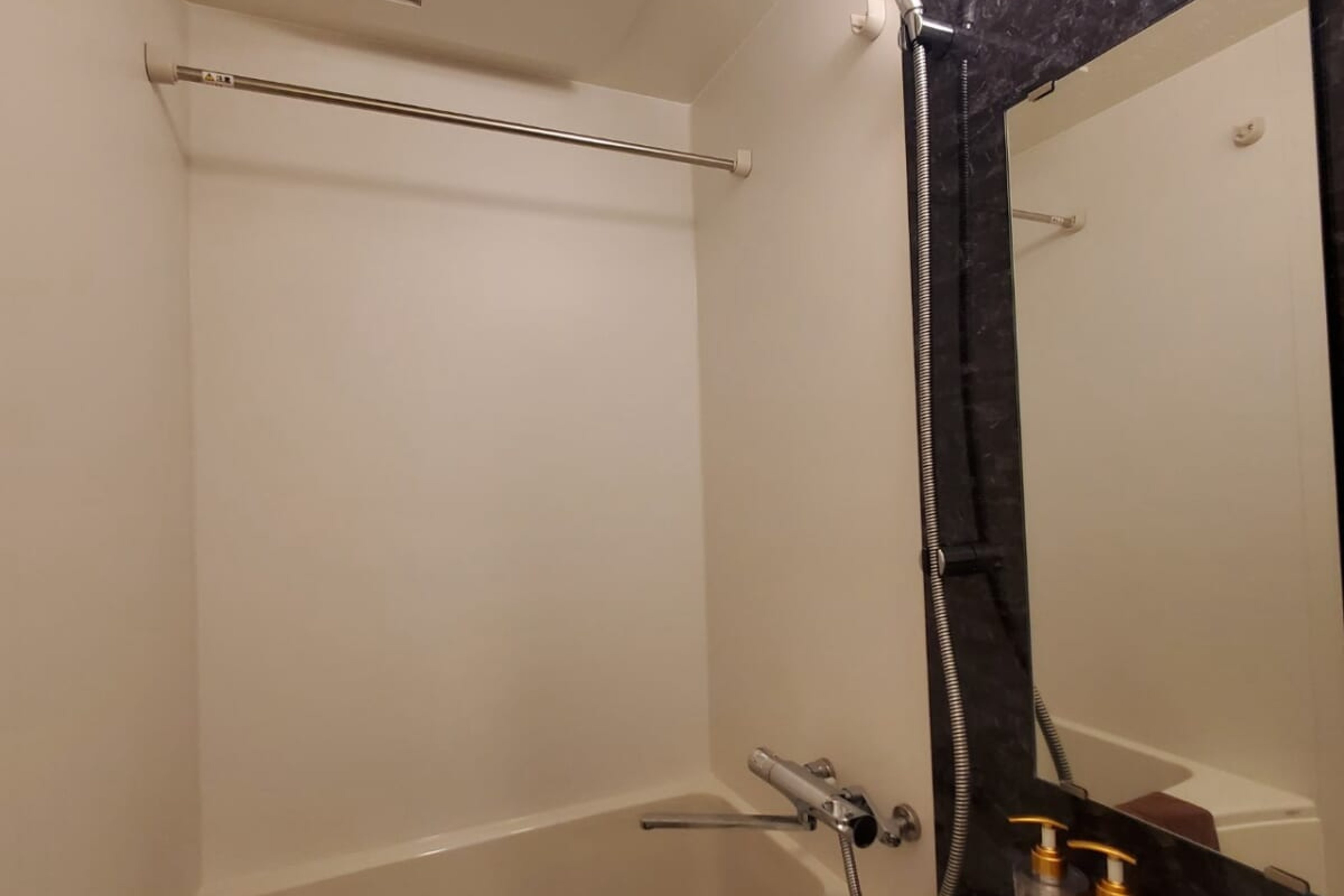 プラチナタイプのイメージ