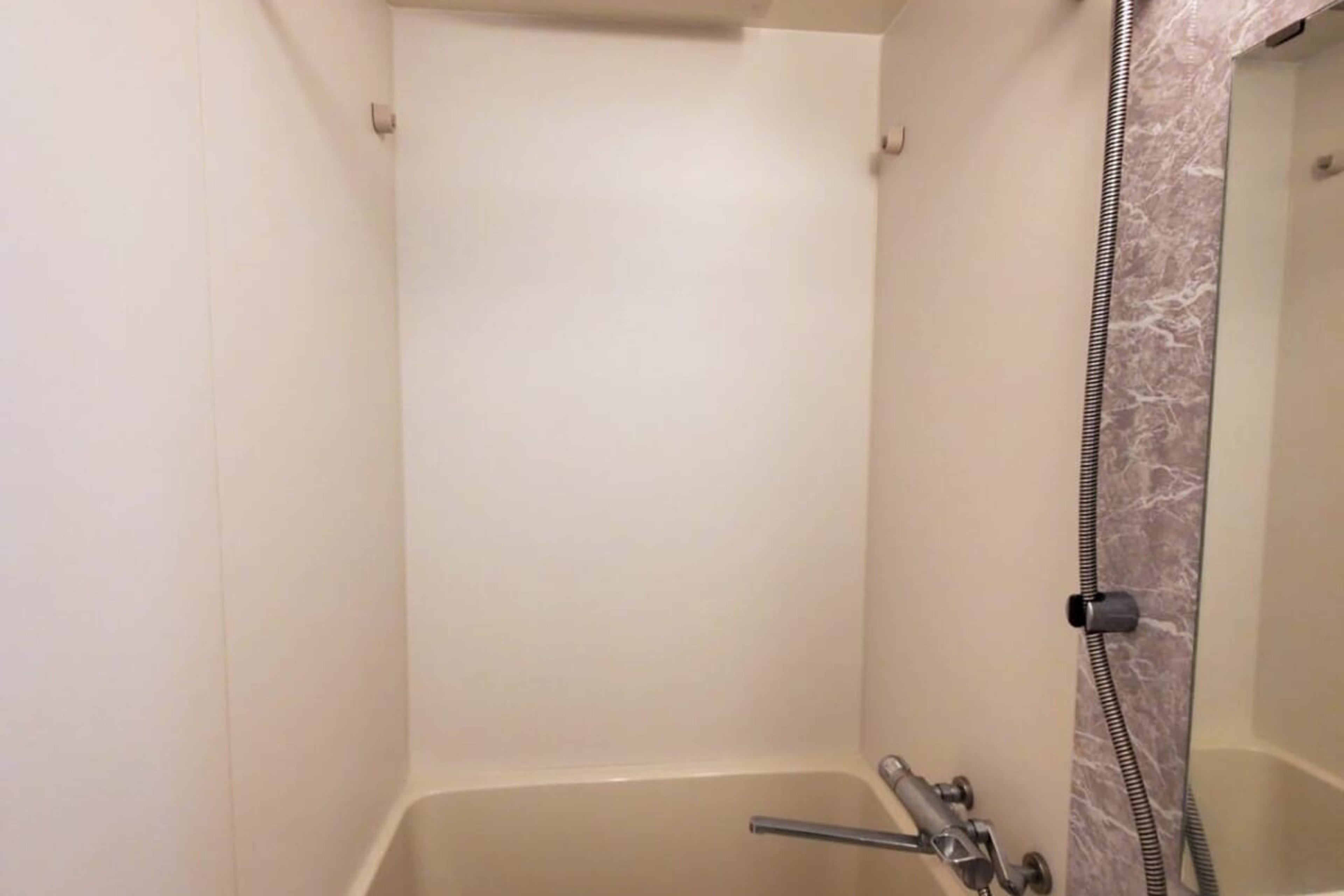 プラチナタイプのイメージ