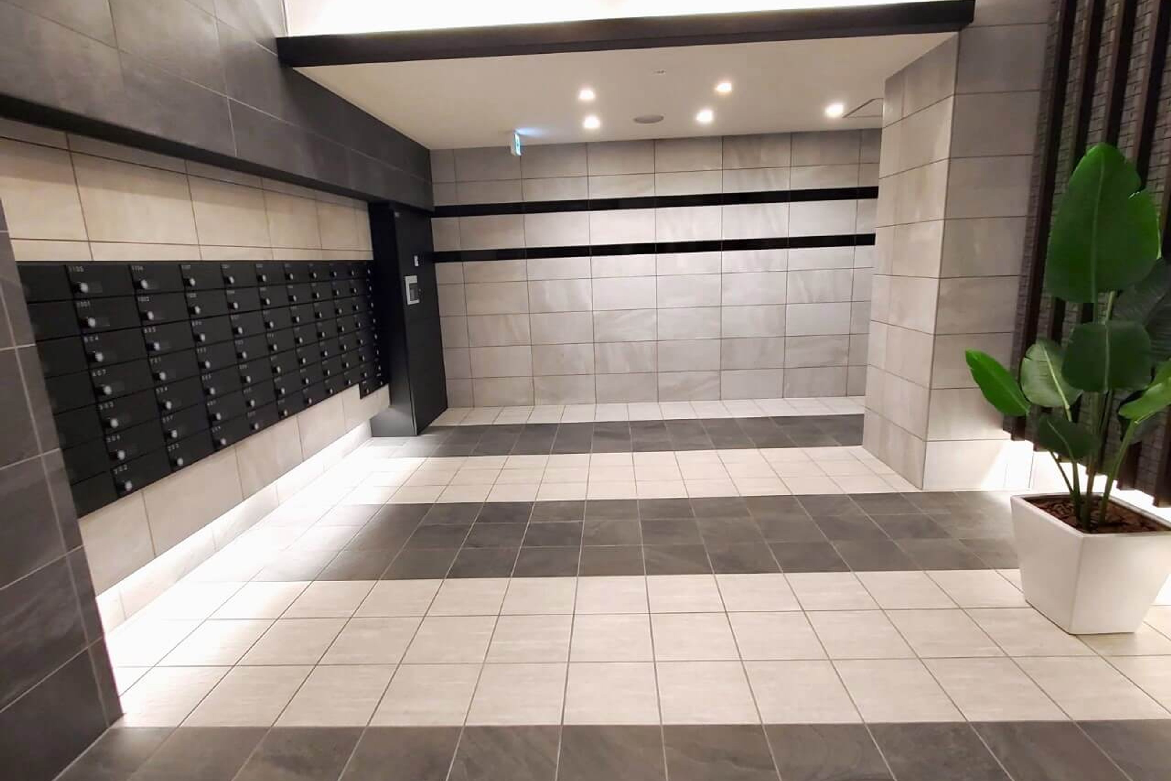 プラチナタイプのイメージ