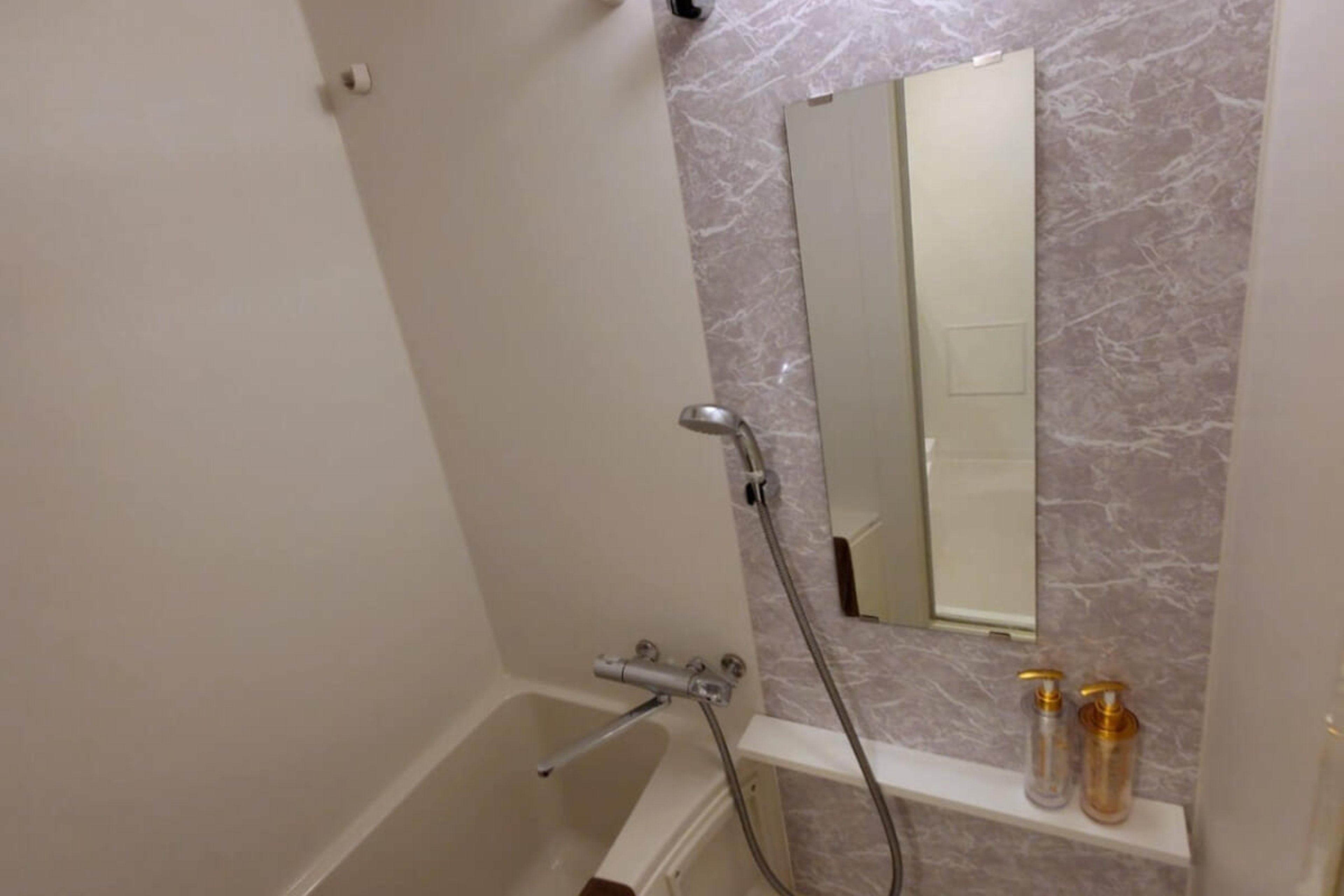 プラチナタイプのイメージ