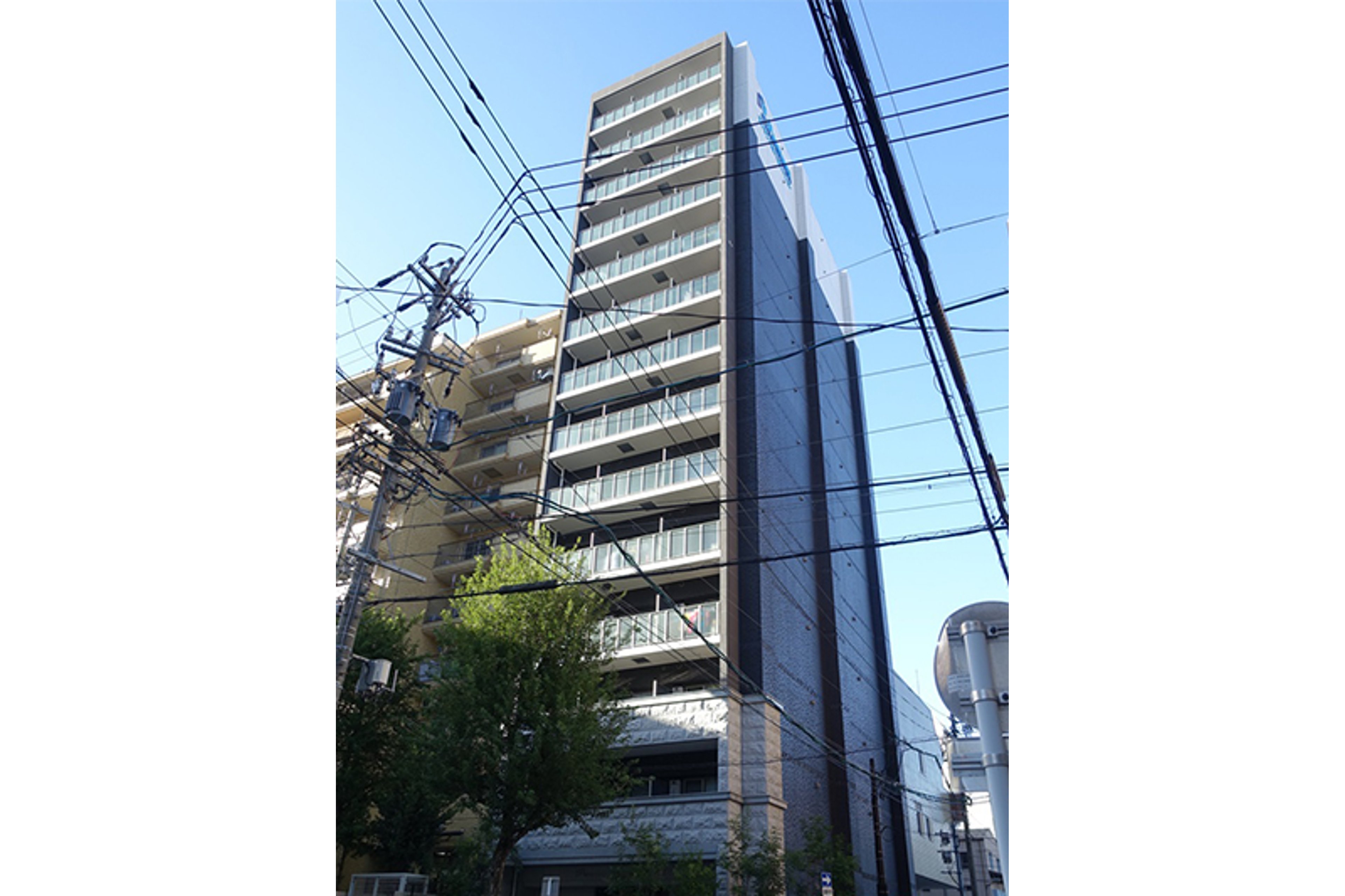 スタンダードタイプのイメージ