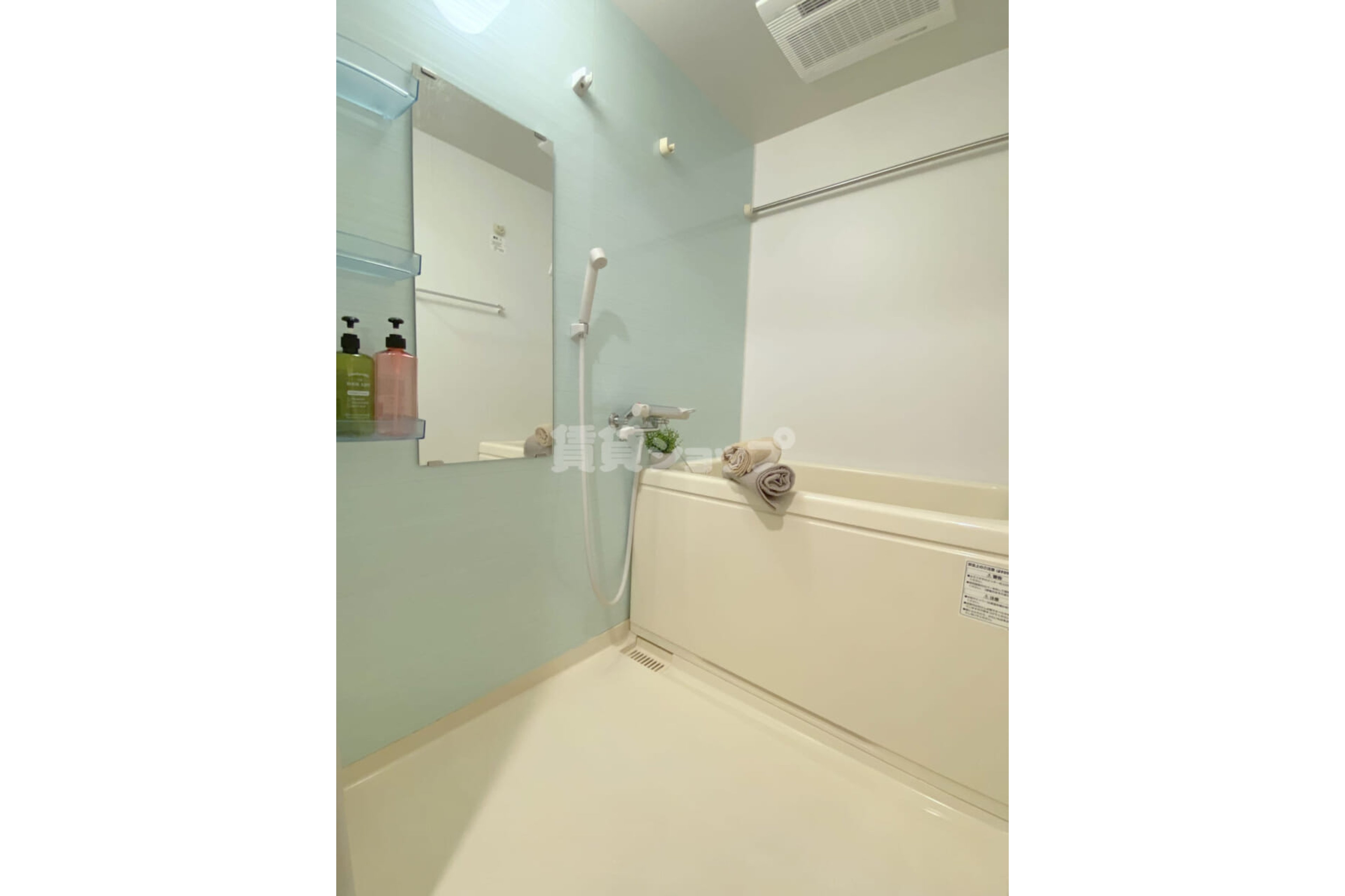 プラチナタイプのイメージ