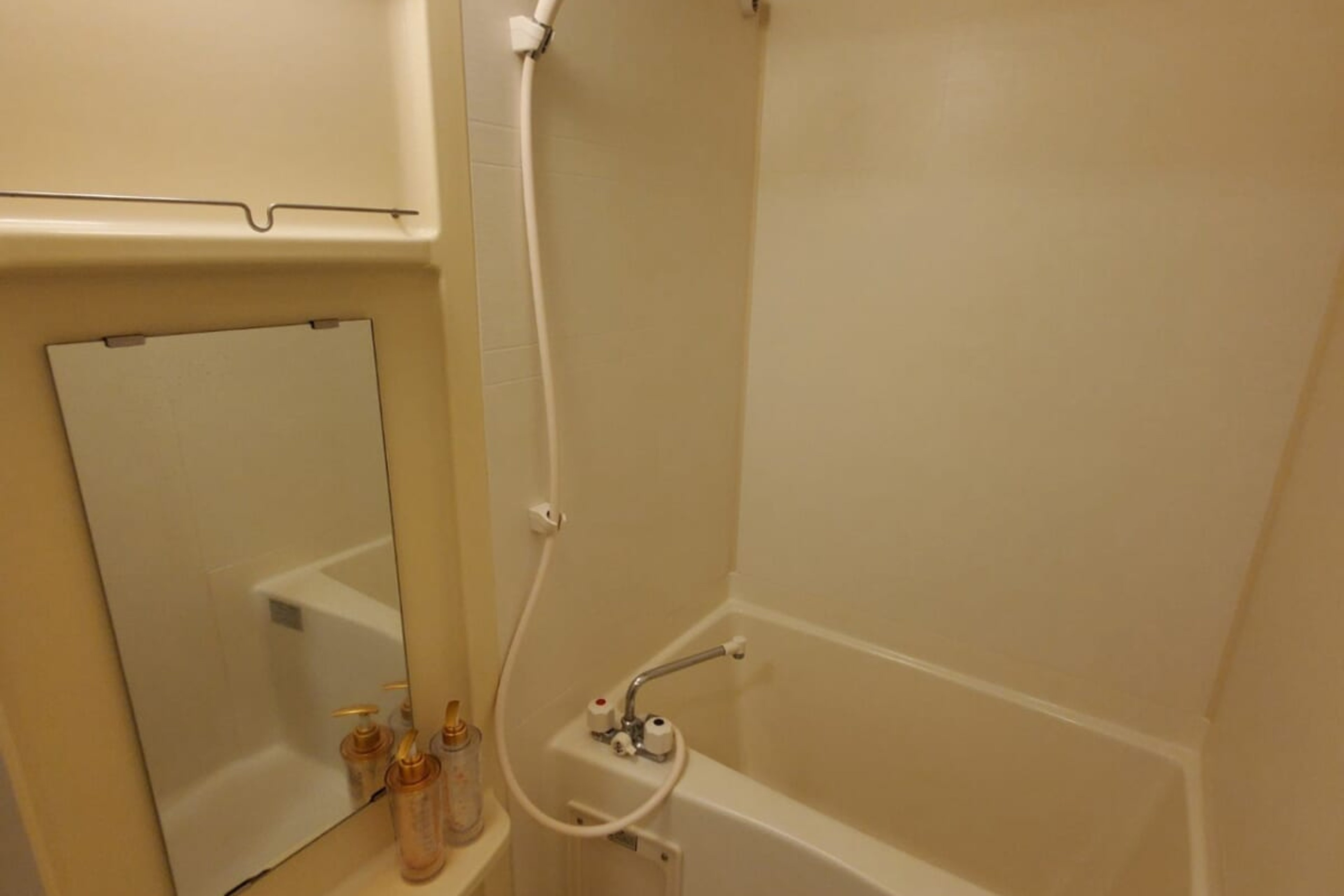 スタンダードタイプのイメージ