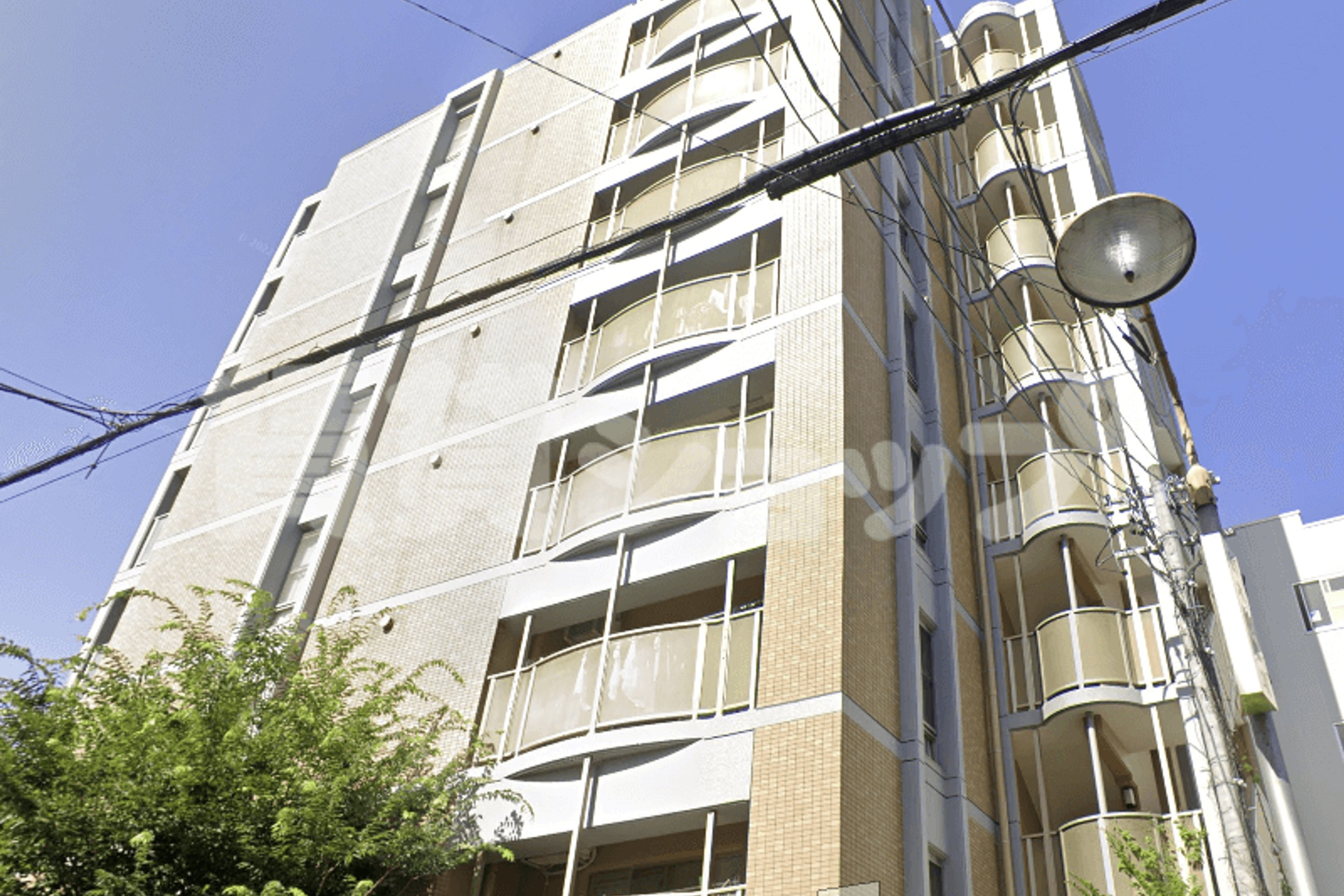 スタンダードタイプのイメージ