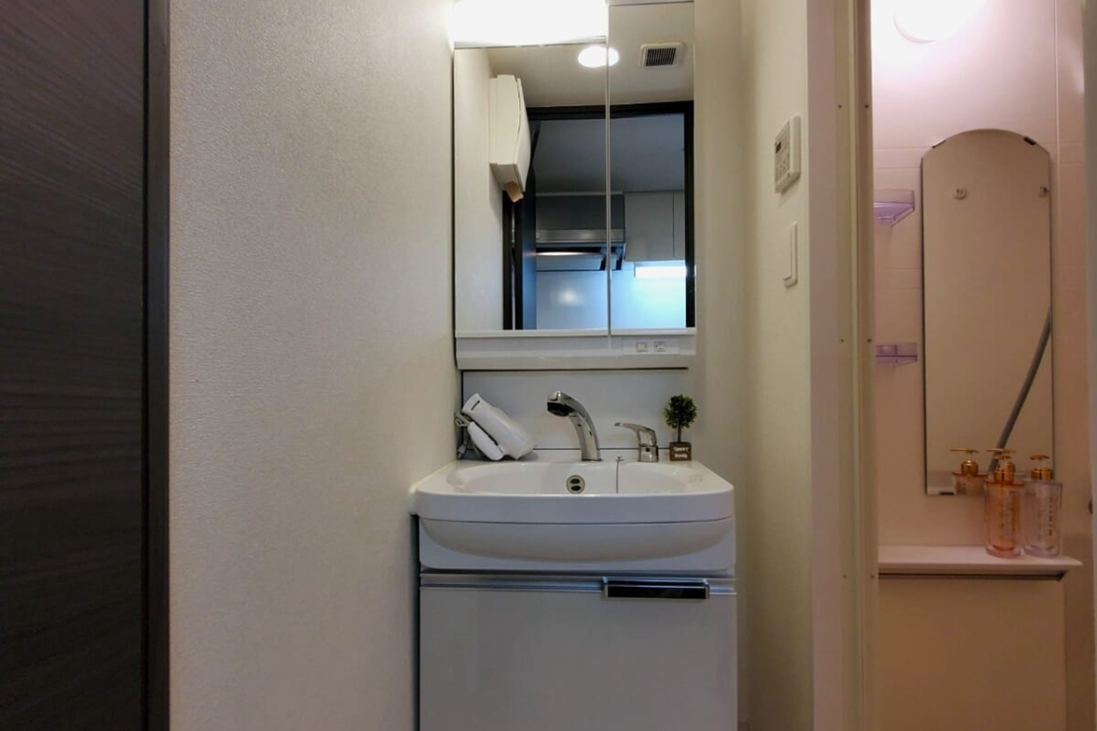 プラチナタイプのイメージ