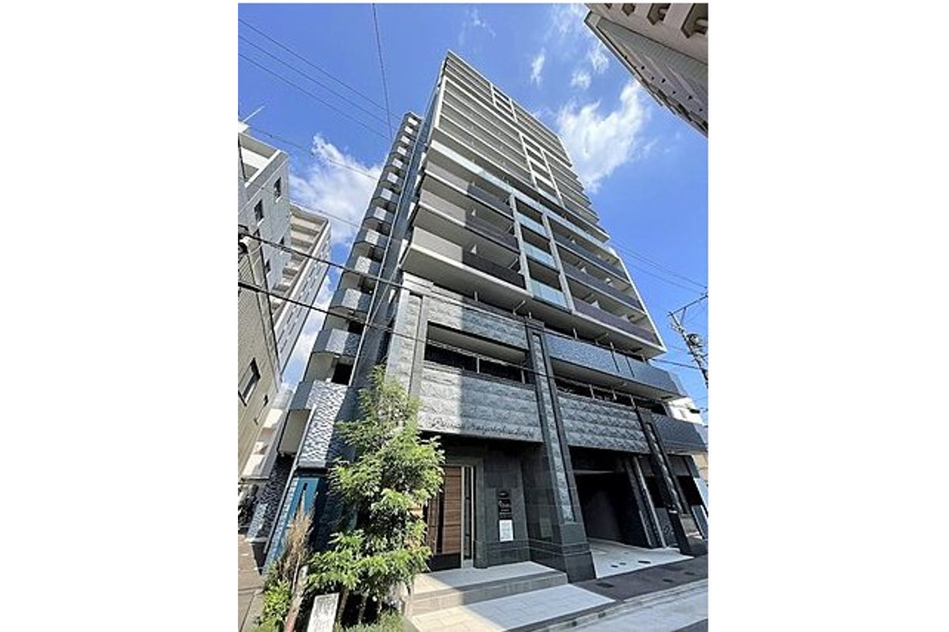 プラチナタイプのイメージ