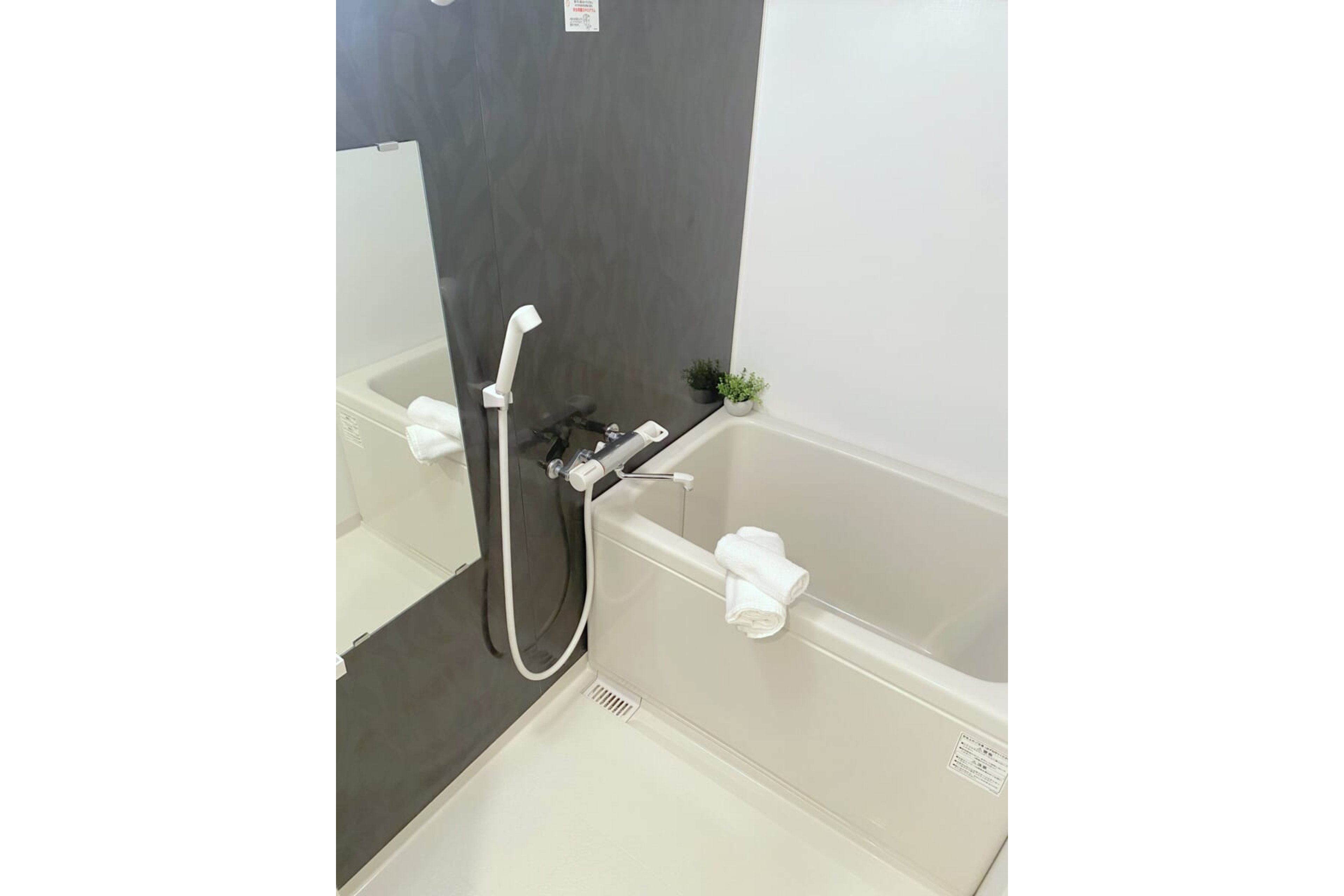 プラチナタイプのイメージ