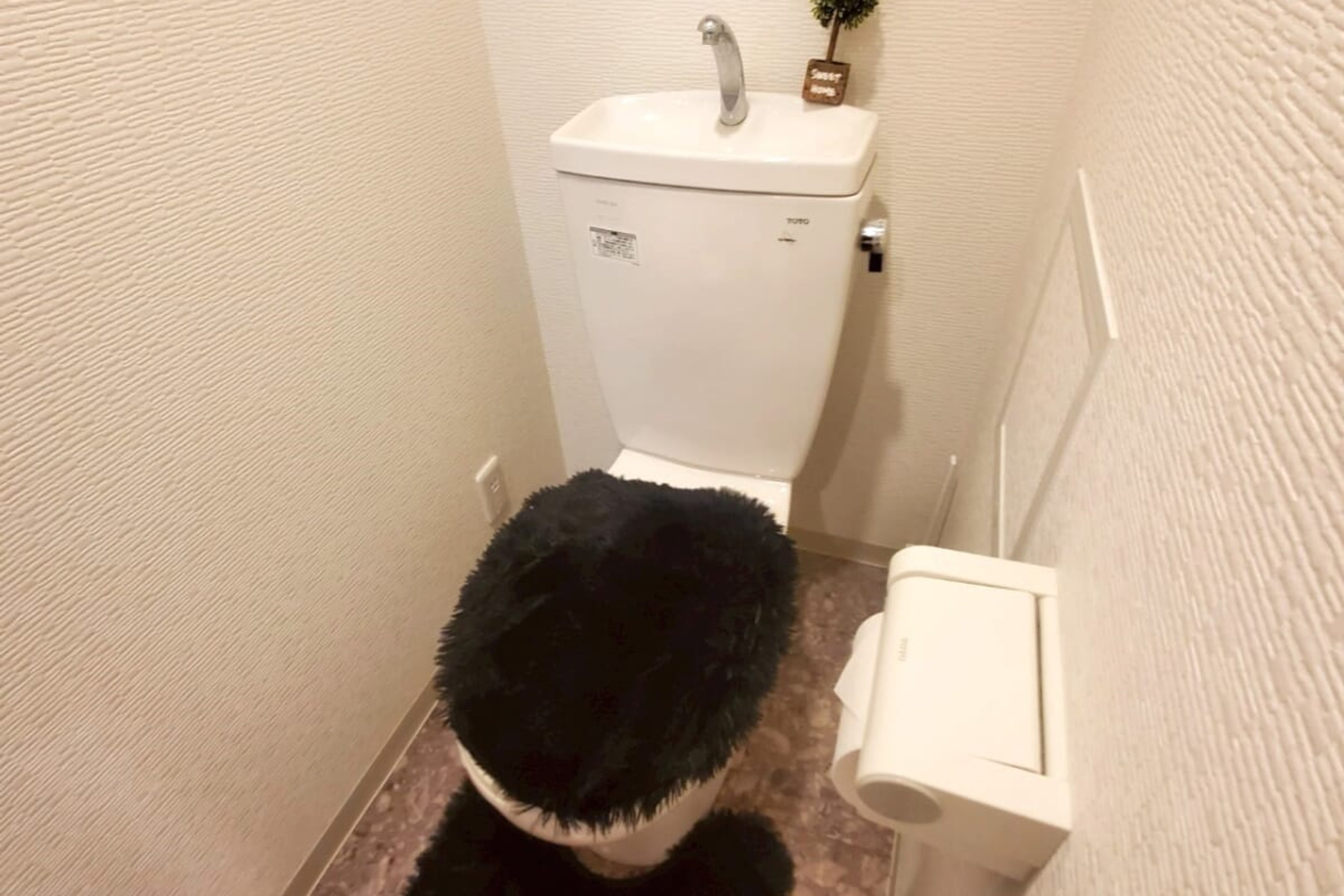 スタンダードタイプのイメージ