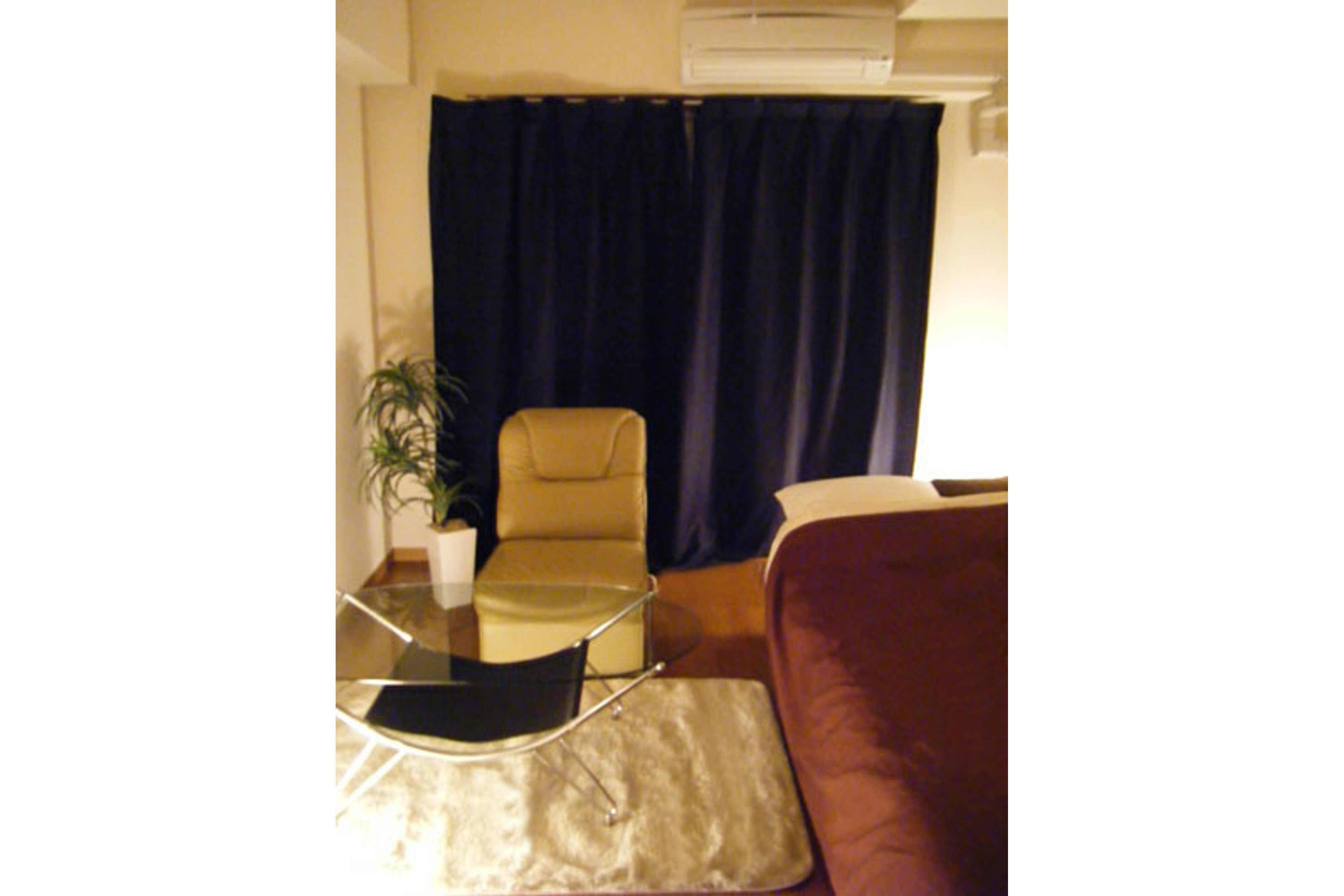 スタンダードタイプのイメージ