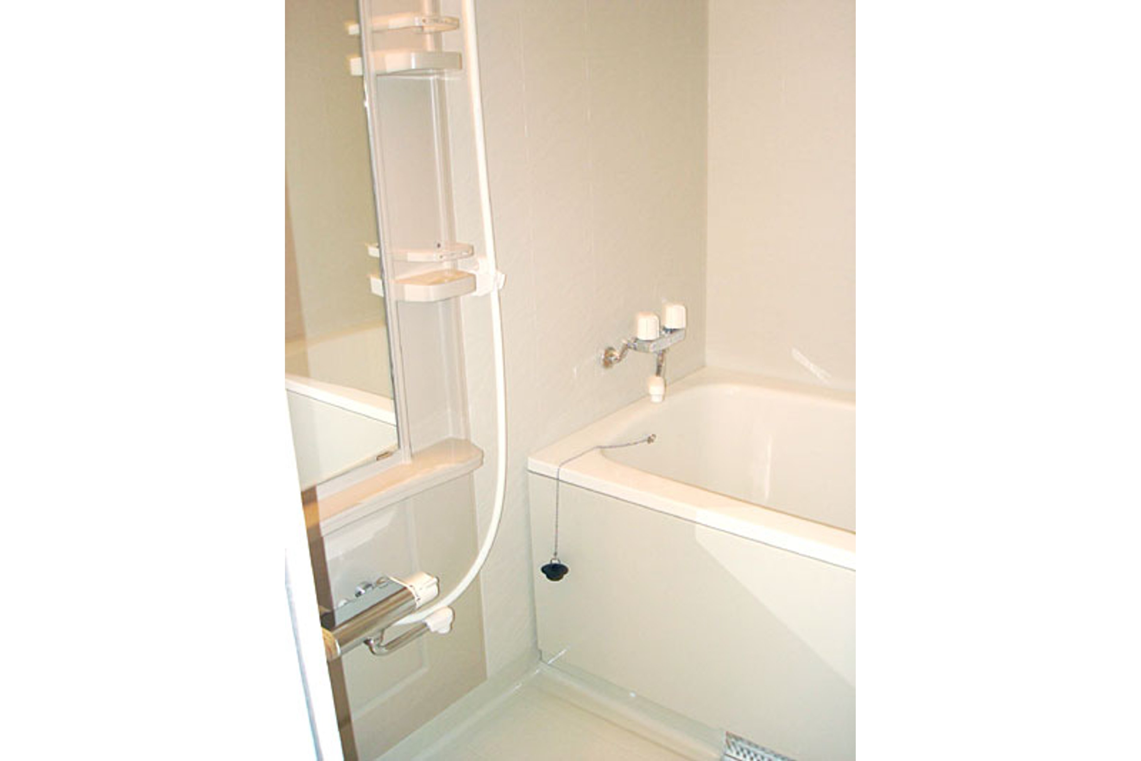 スタンダードタイプのイメージ