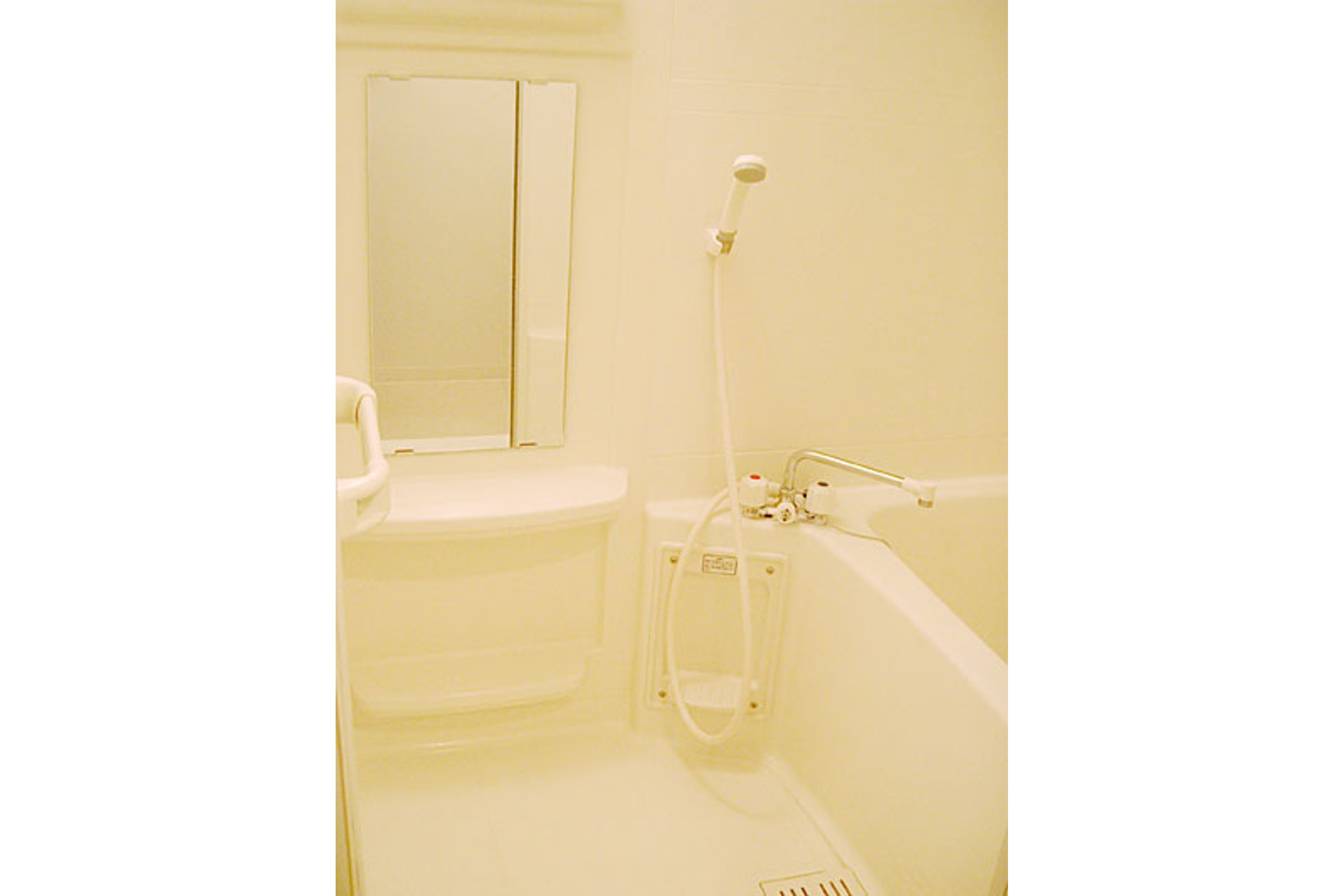 スタンダードタイプのイメージ