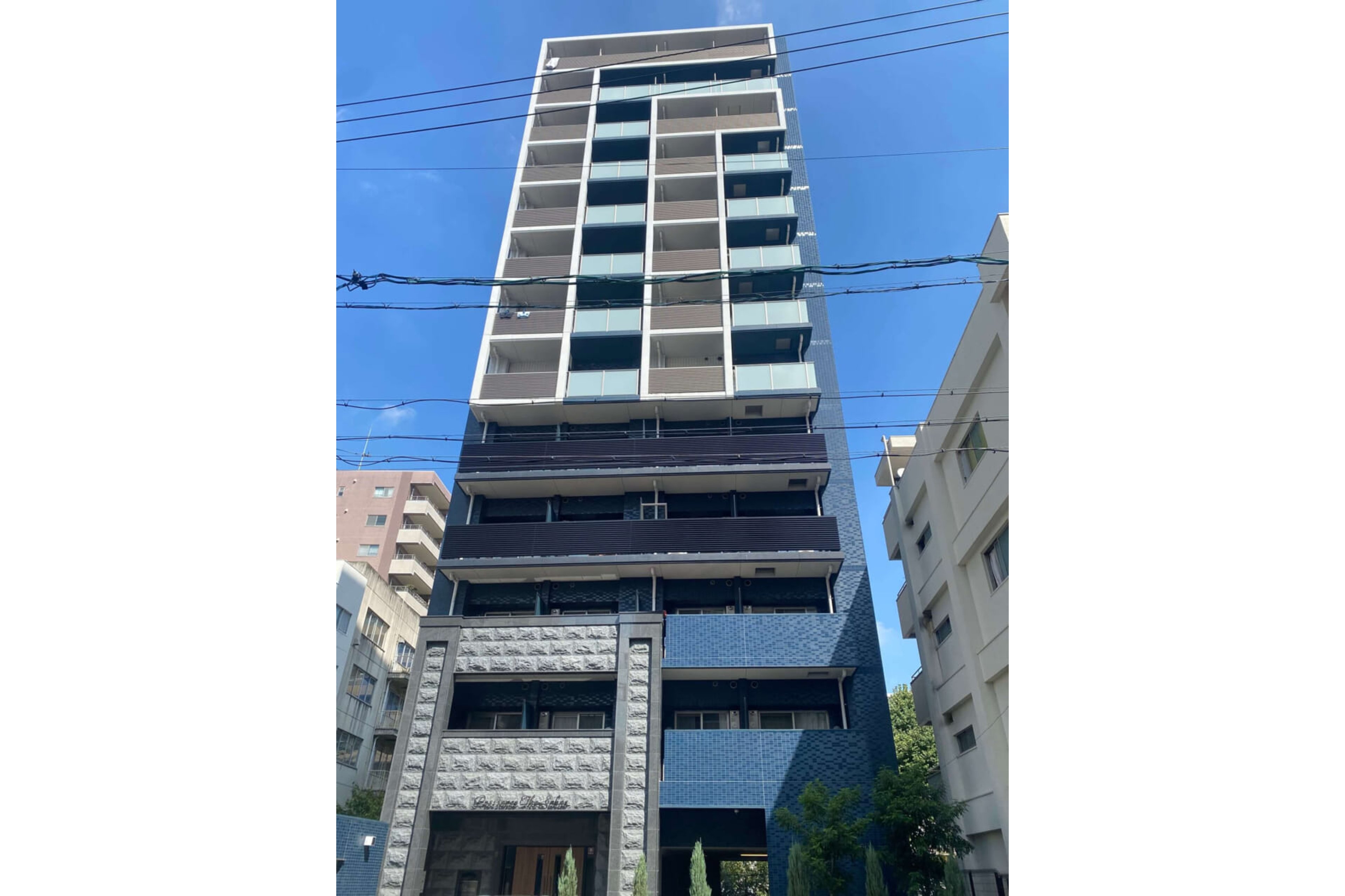 プラチナタイプのイメージ