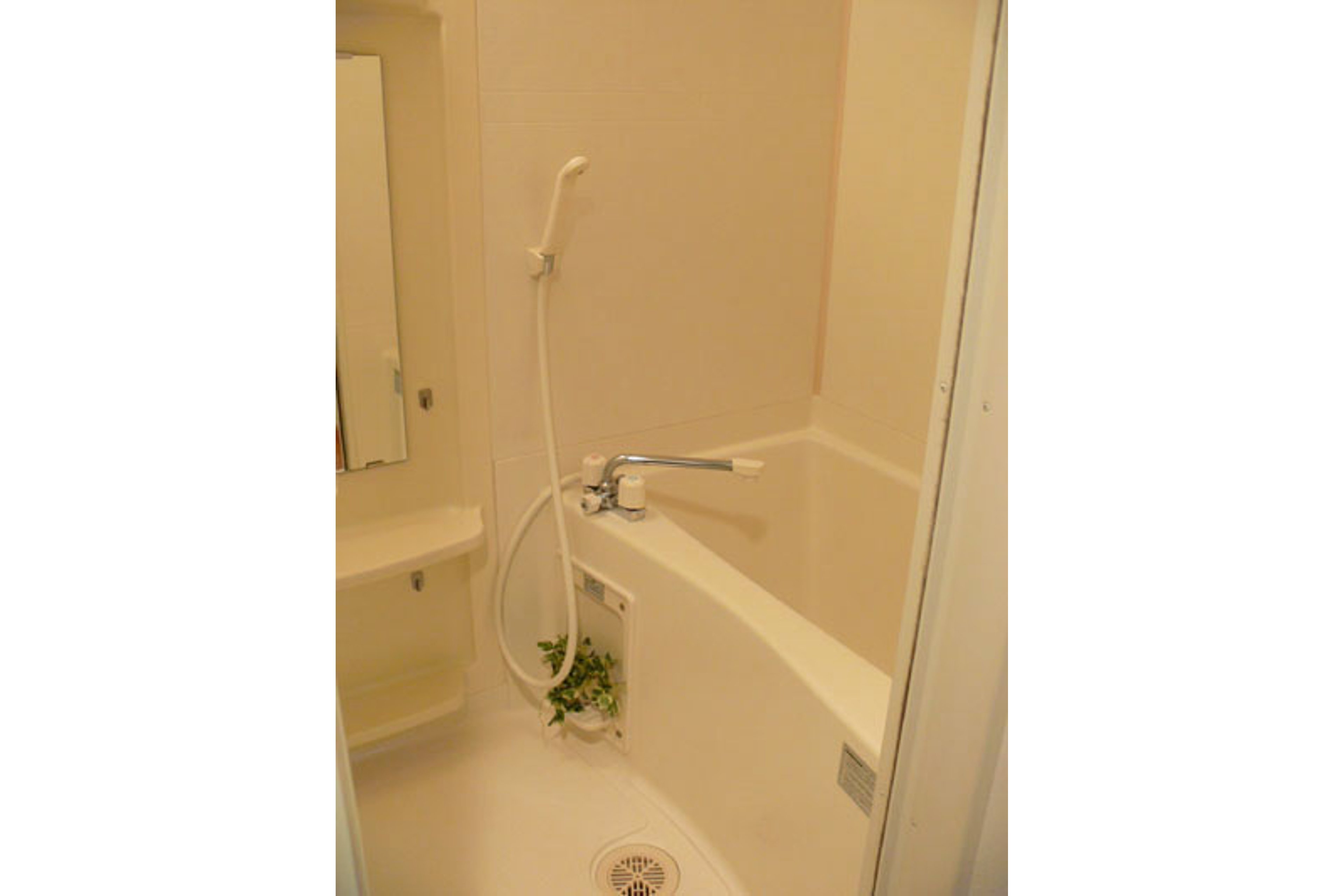 スタンダードタイプのイメージ