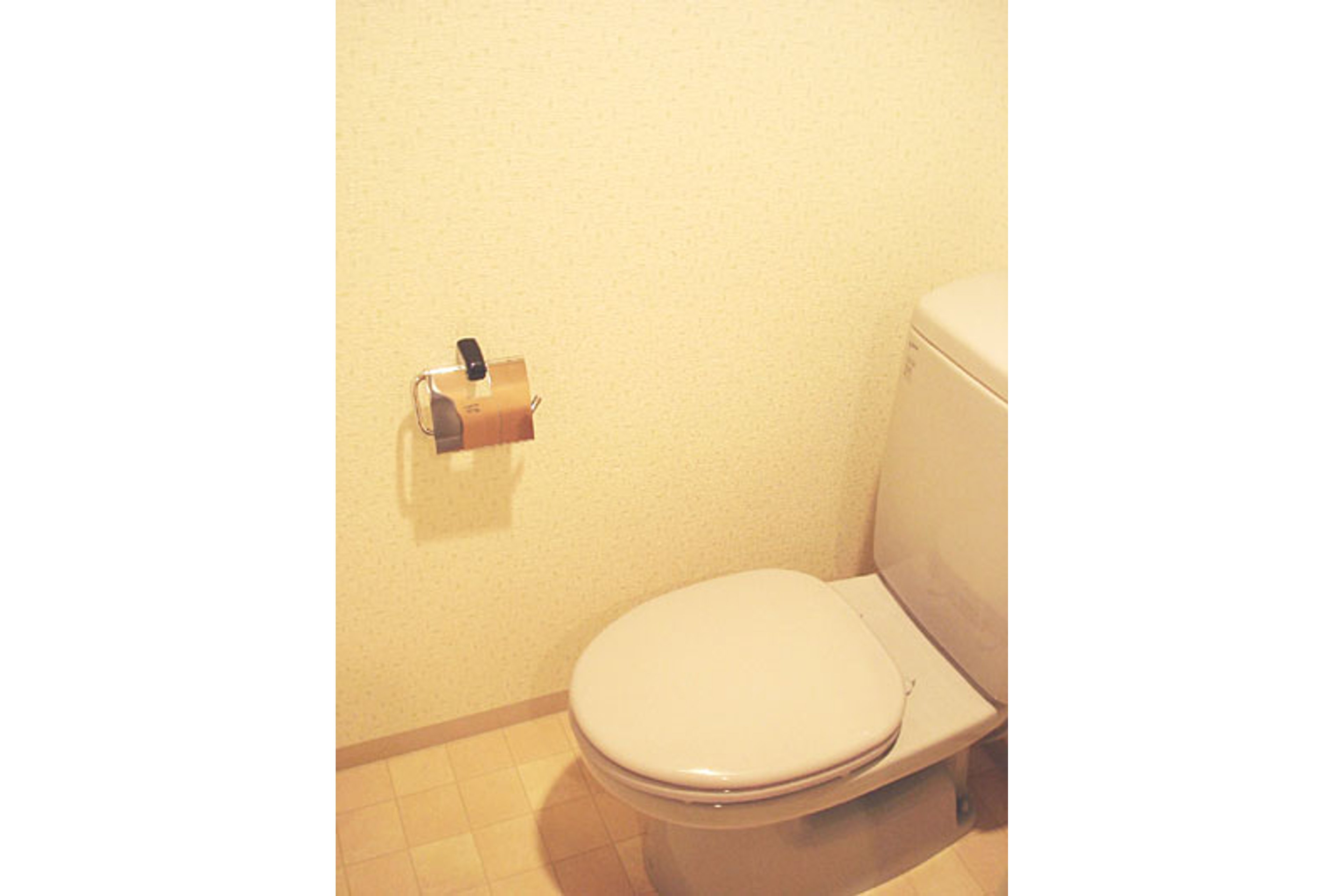 バリュータイプのイメージ