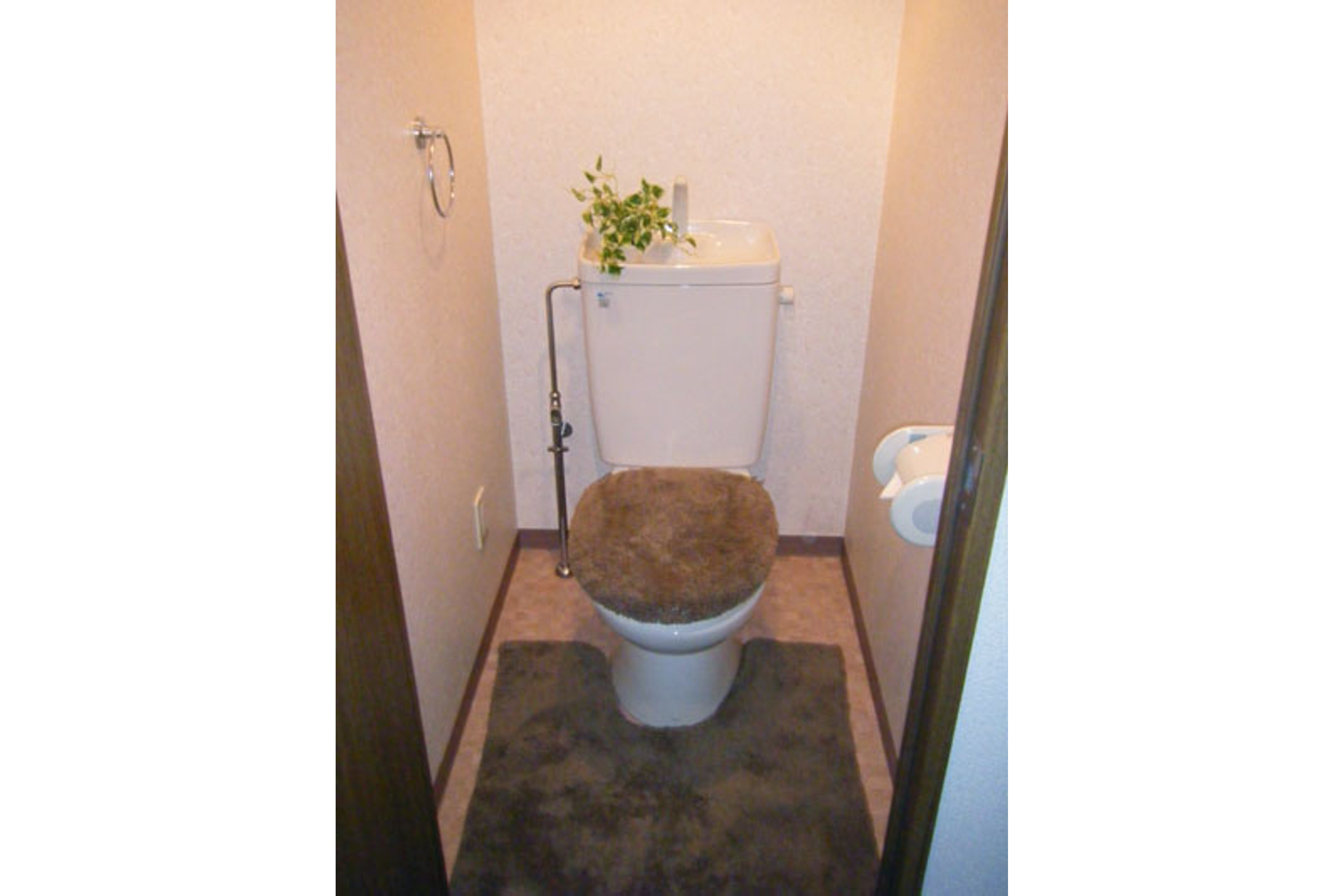 バリュータイプのイメージ