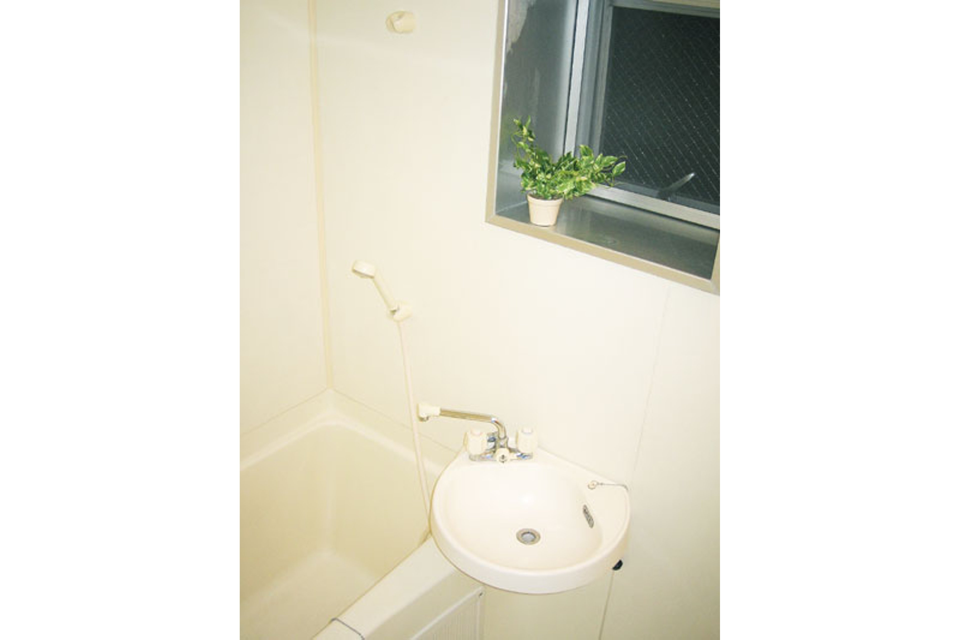 スタンダードタイプのイメージ