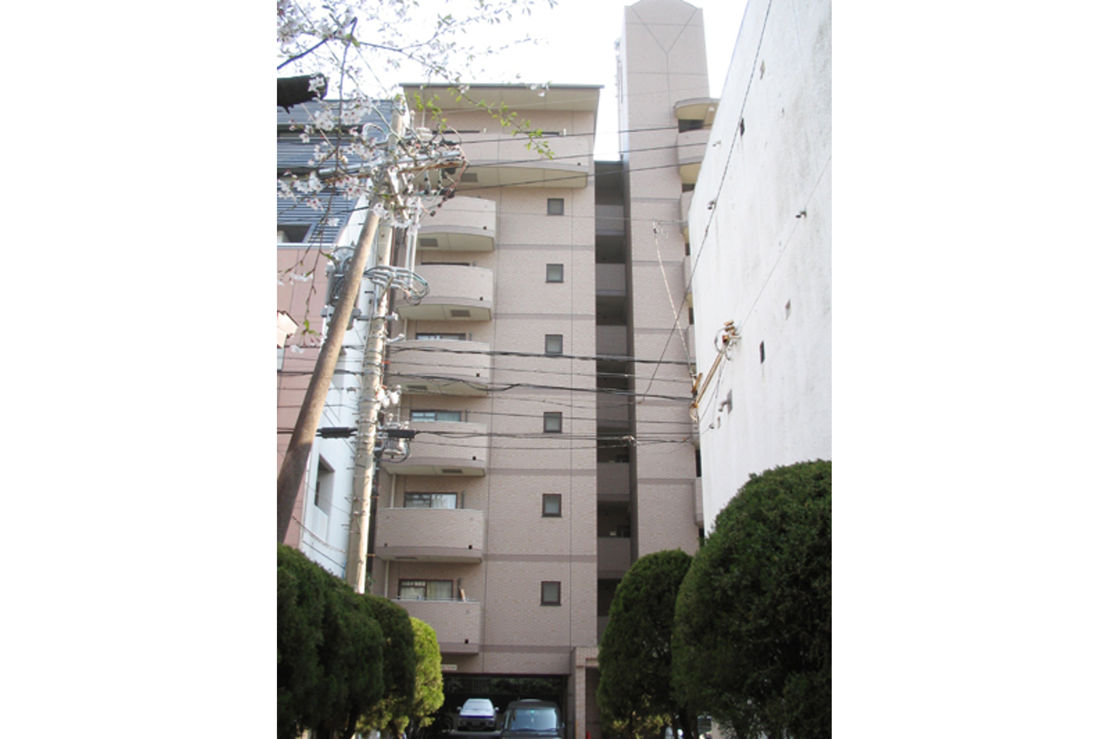 バリュータイプのイメージ