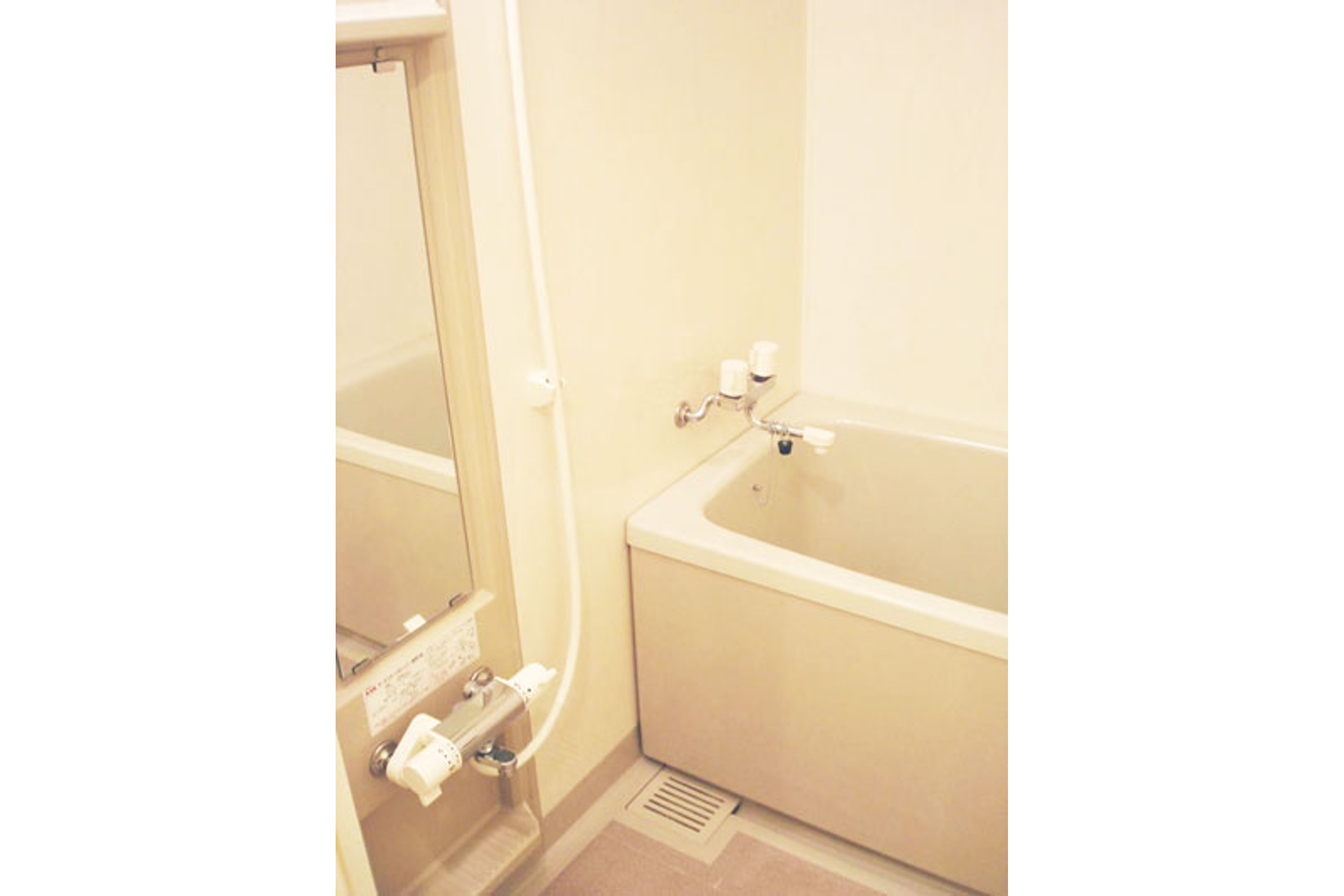 プラチナタイプのイメージ