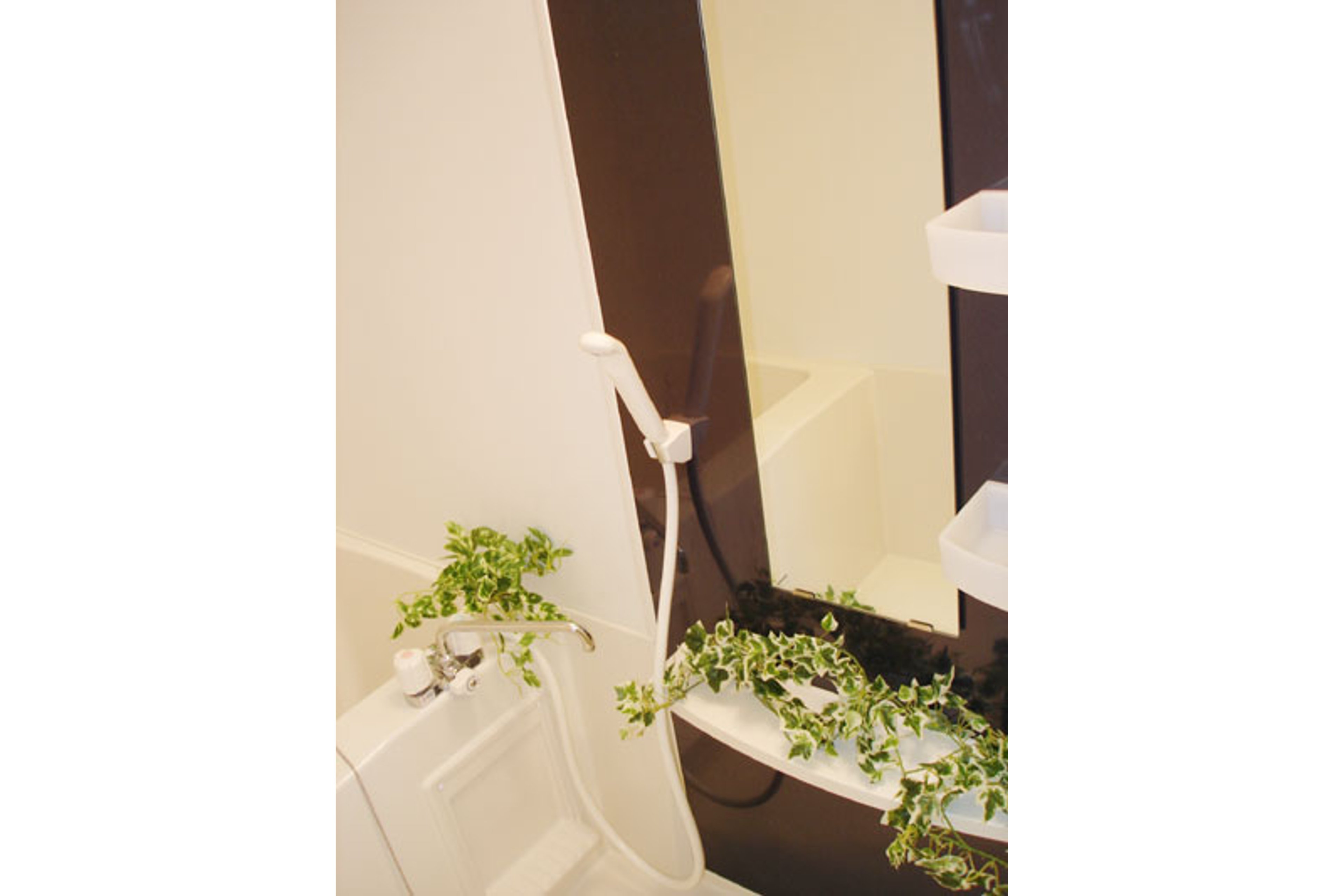 スタンダードタイプのイメージ