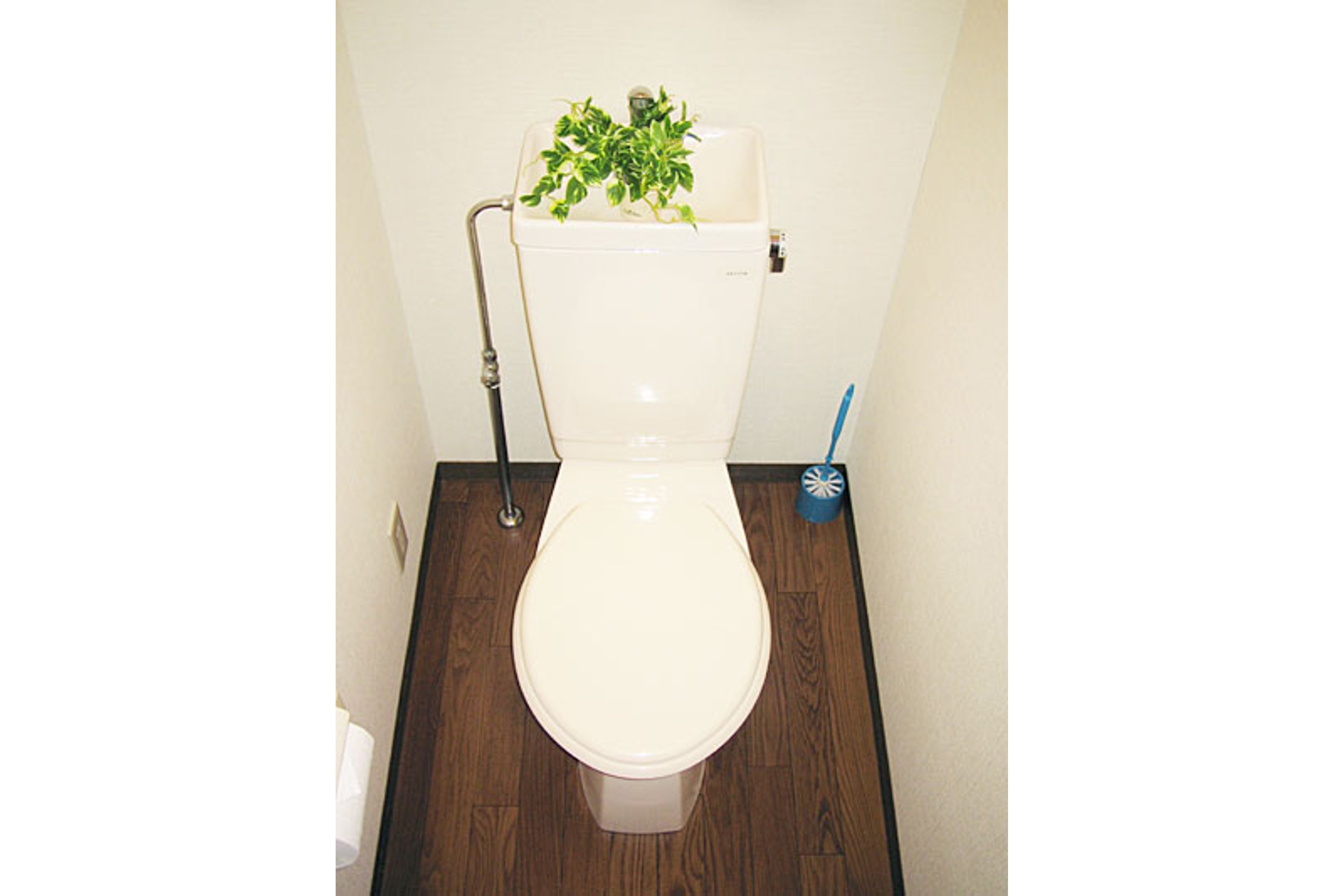 スタンダードタイプのイメージ